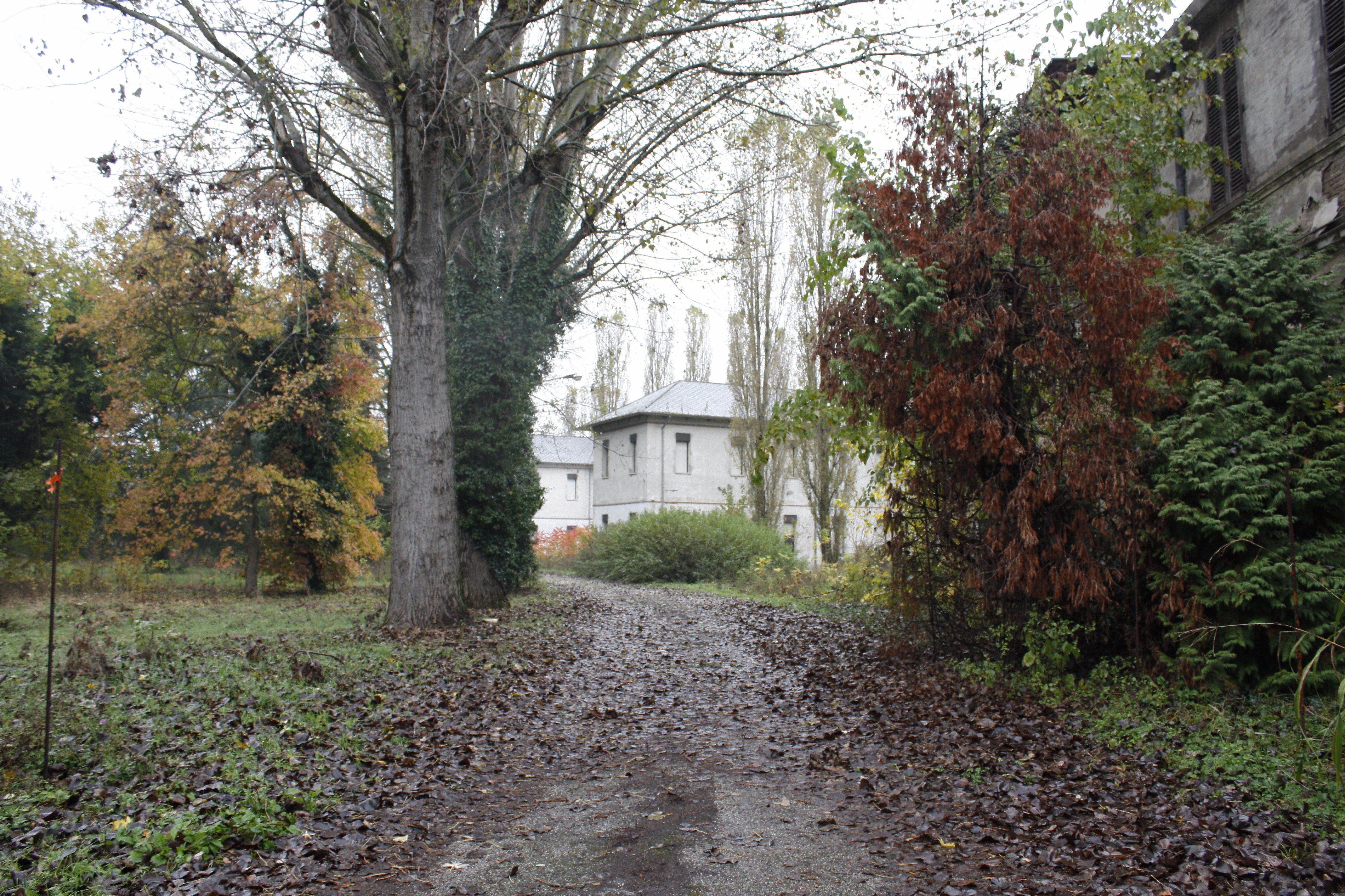 意大利罗维戈前精神病院改造-6