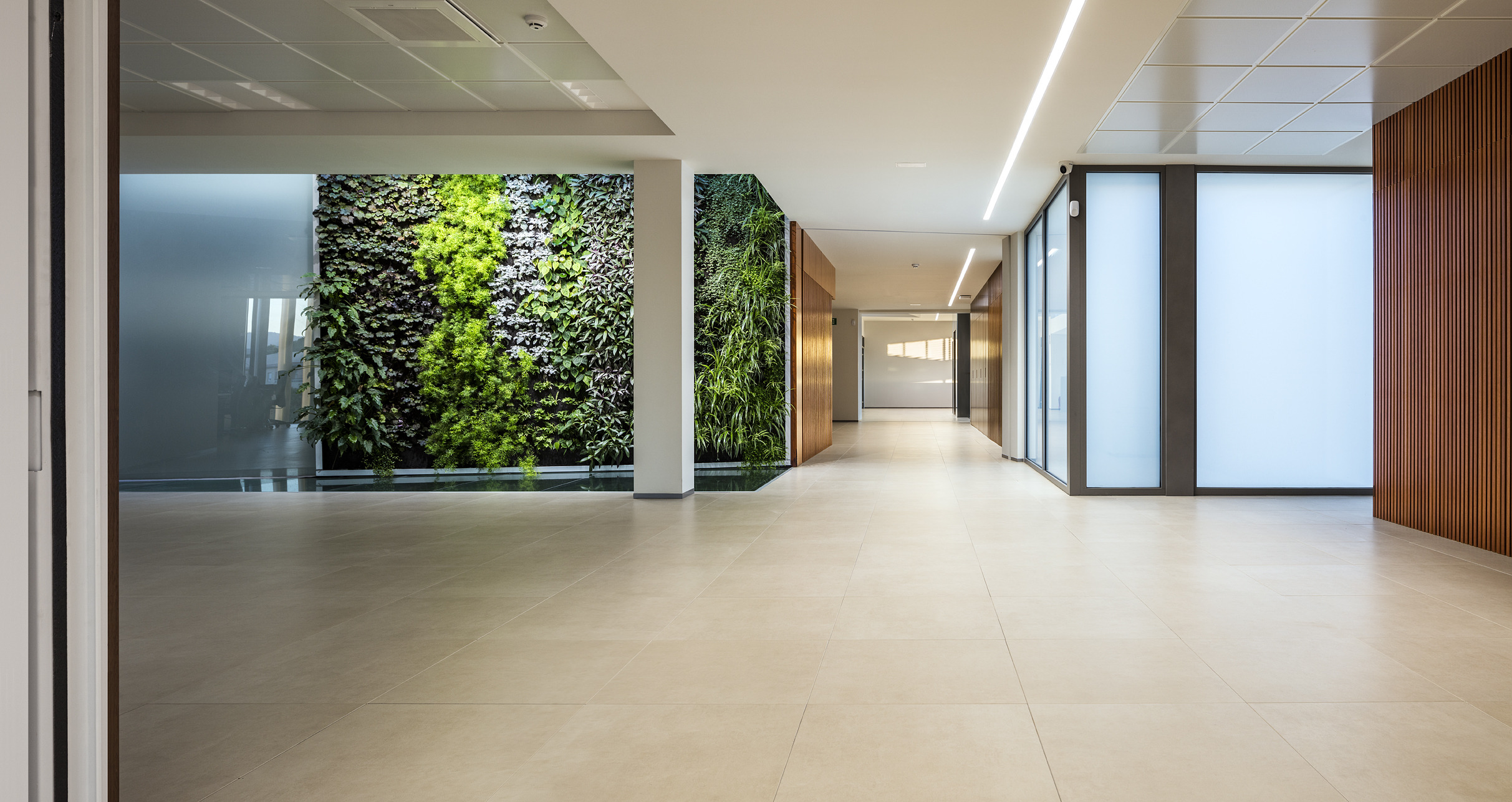 生态环保的"Sanlucar Fruit"办公室设计-17