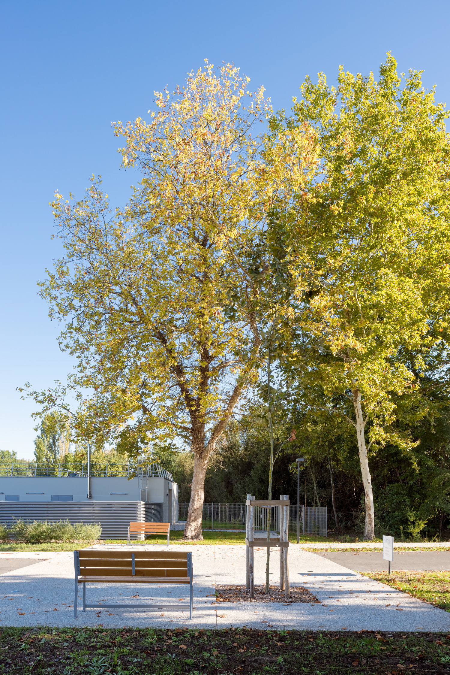 养老医疗中心 Barail | 关爱老年人的温馨家园-26