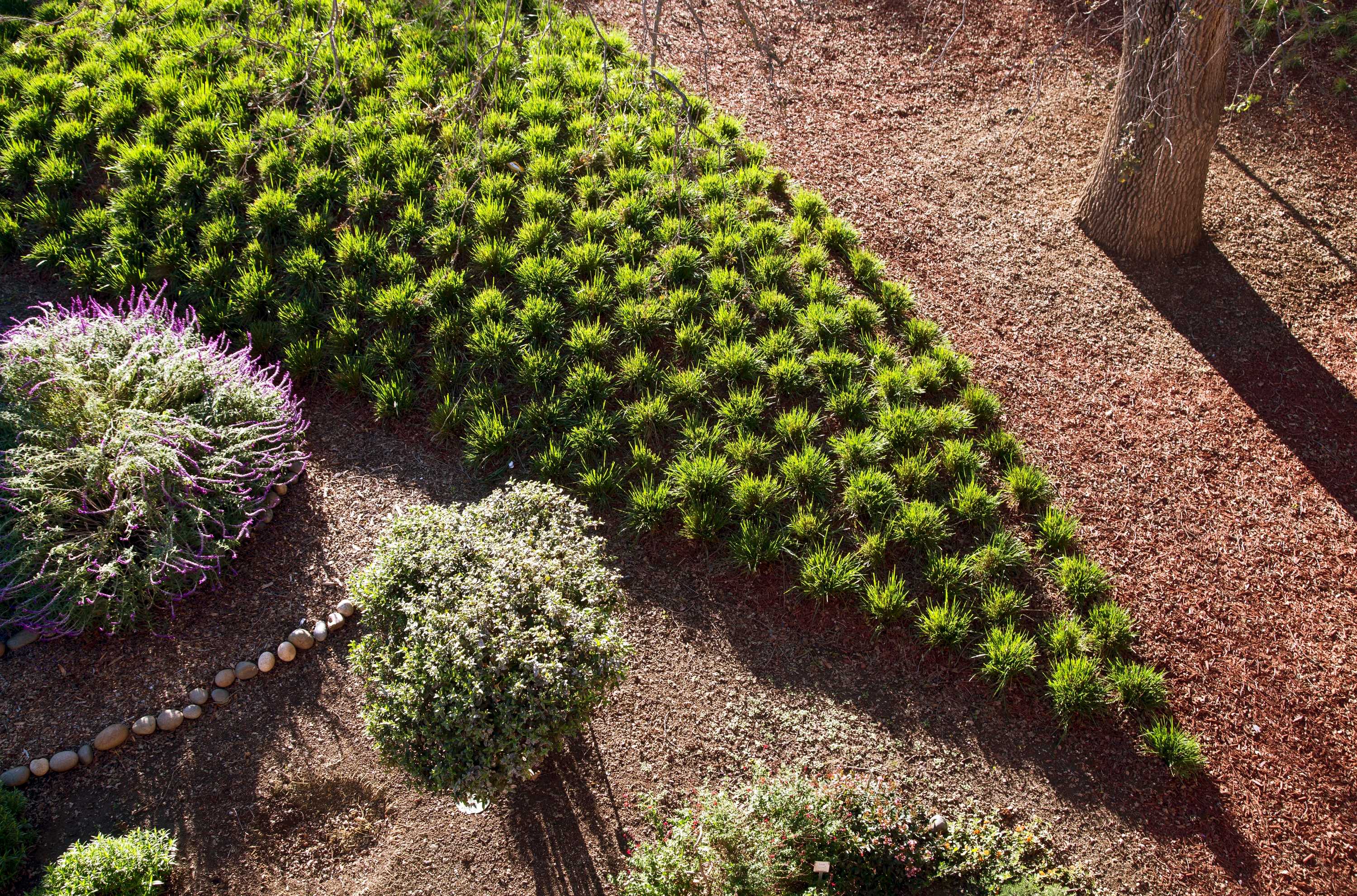 圣心学校史蒂文斯网零图书馆-15