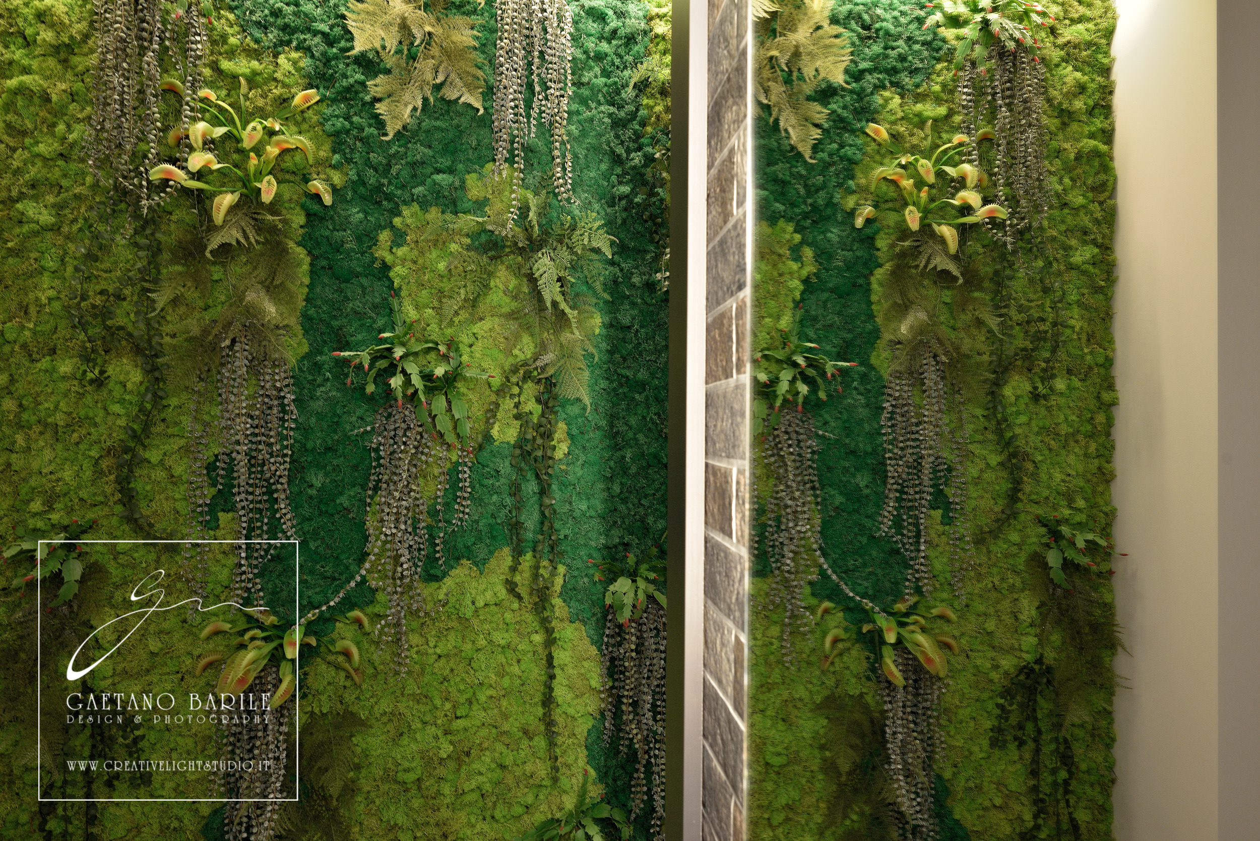 梦想项目 S·p·a·-22