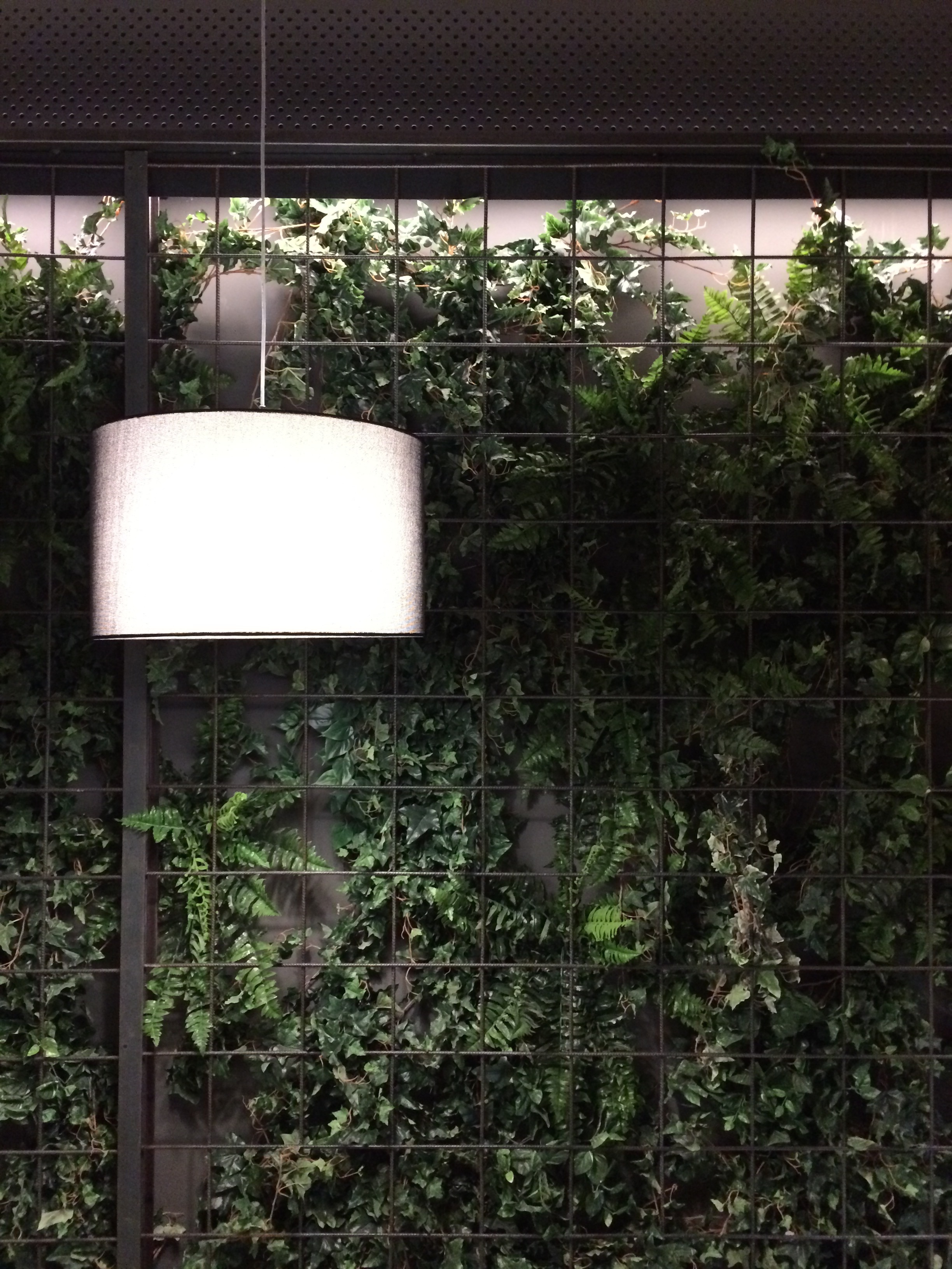 self可译为自我自身自己等；cafè应是café，可译为咖啡馆咖啡店-6