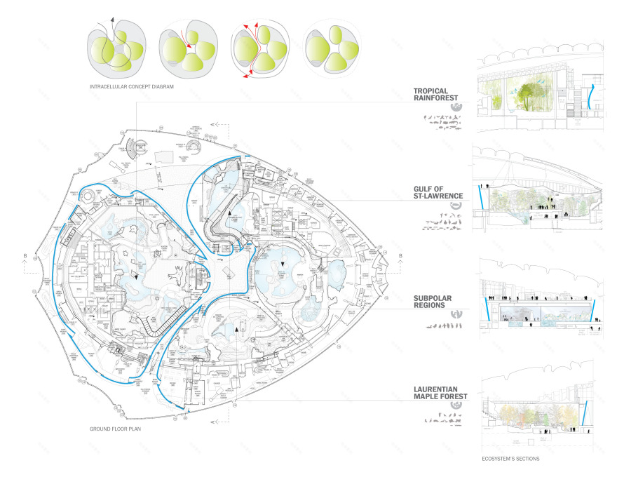 生物群落之舞 · 蒙特利尔自然博物馆室内设计-5