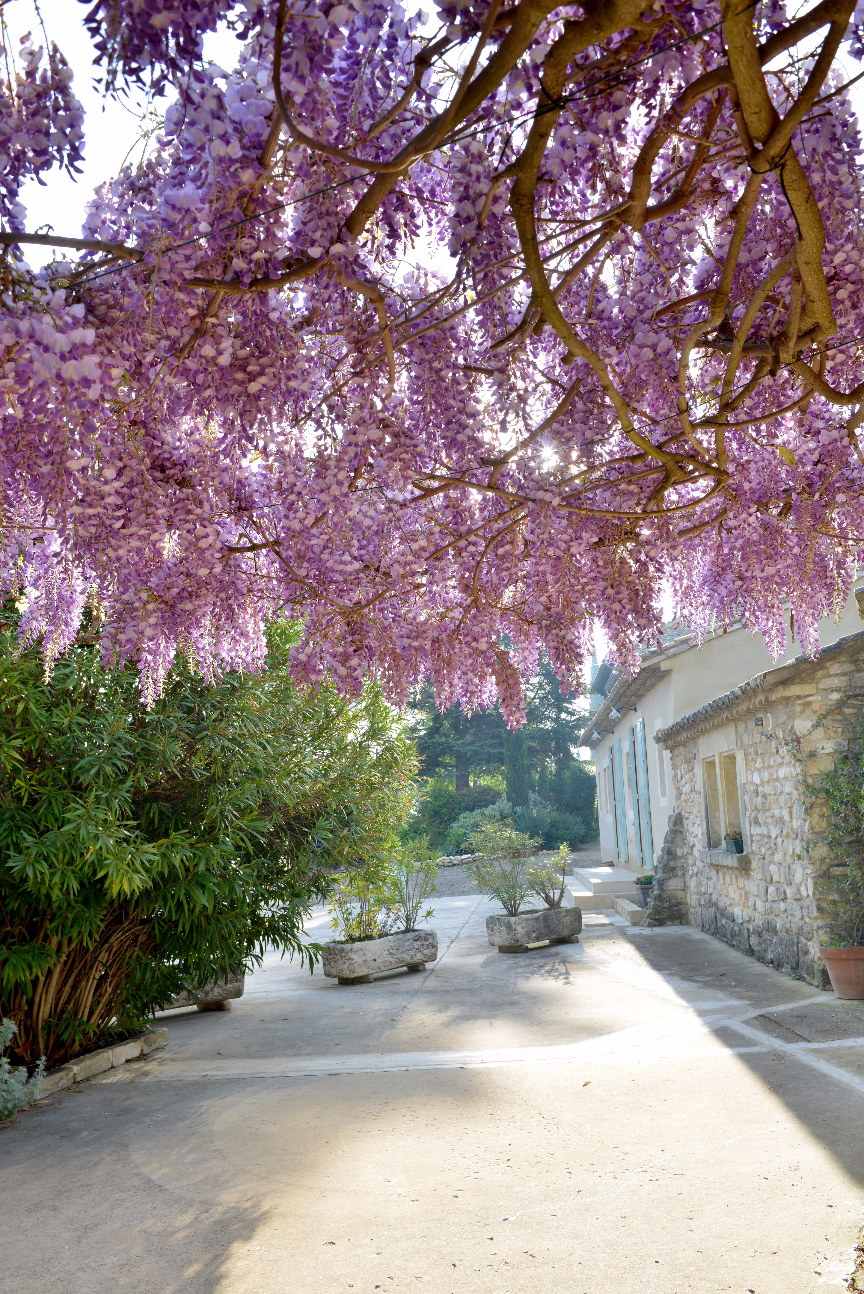 普罗旺斯香薰世家住宅设计-48