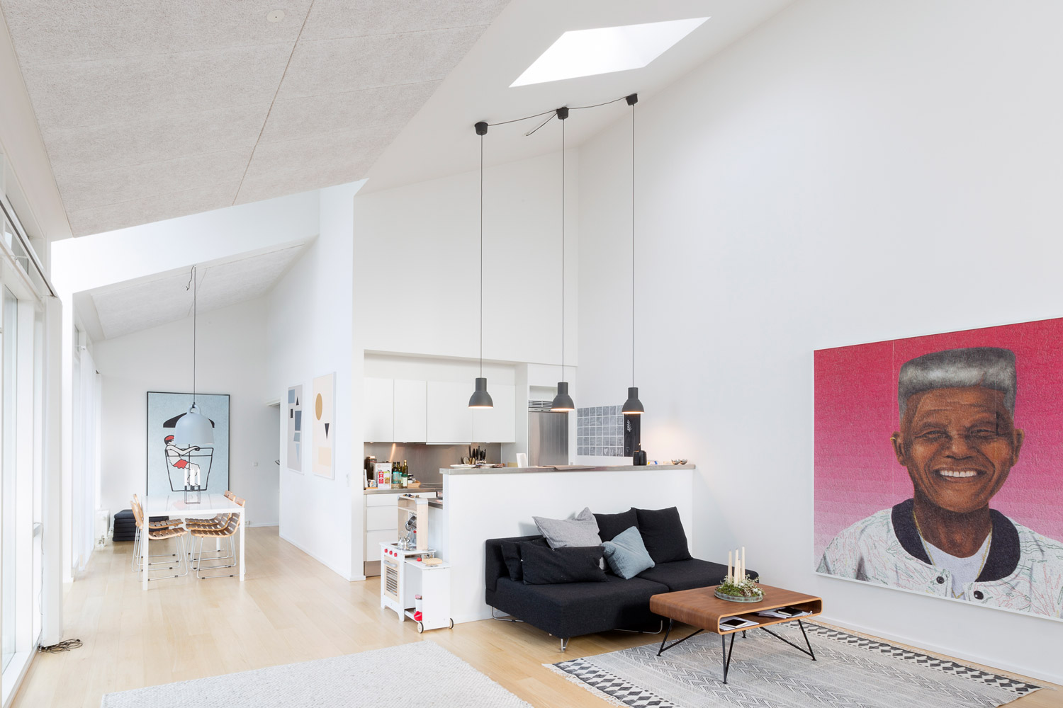 2016 年哥本哈根公寓设计-0