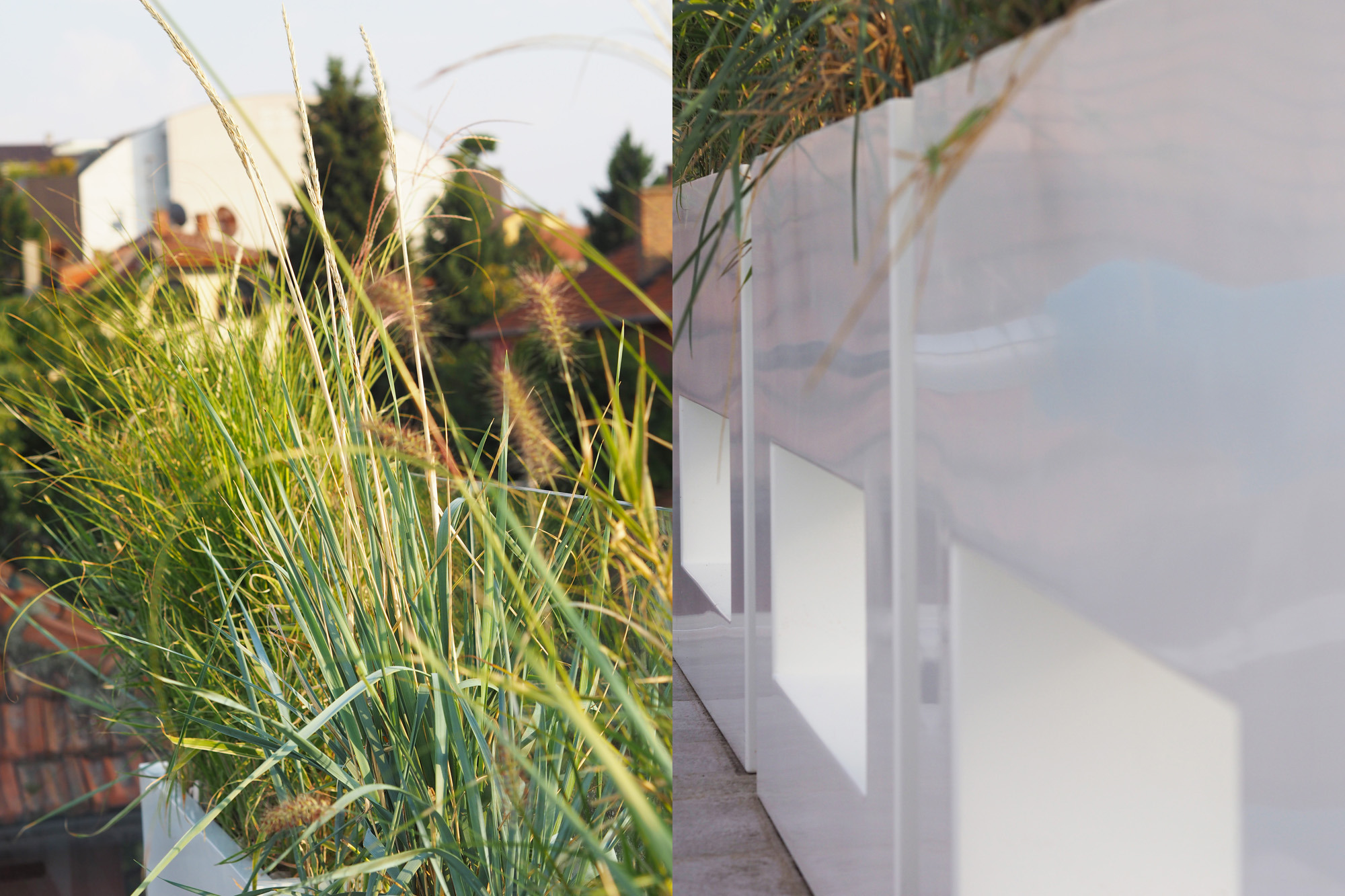 为所有感官而创造，私人住宅花园和屋顶露台-54