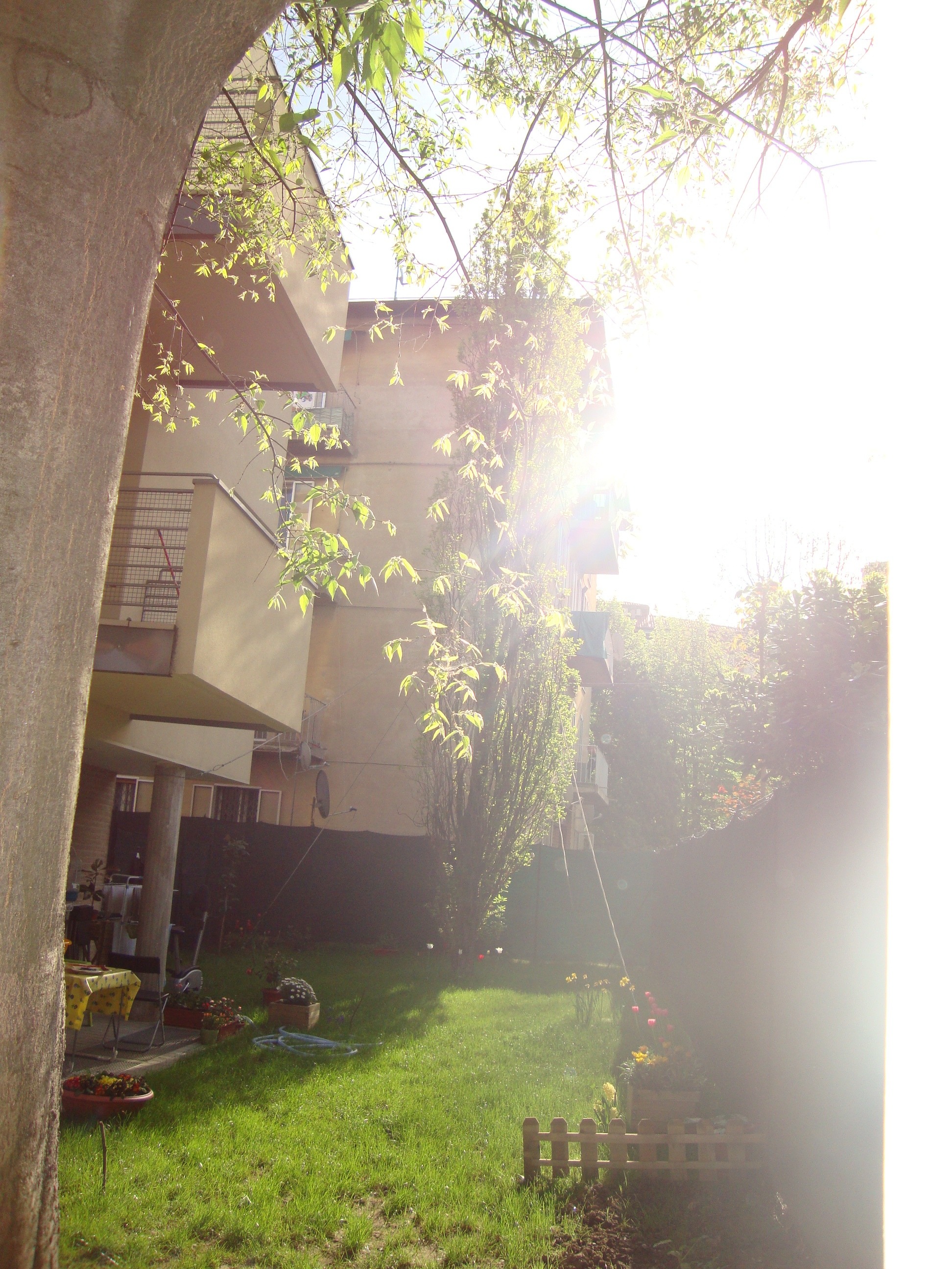 博洛尼亚 50 年代建筑群中的新生力量-5