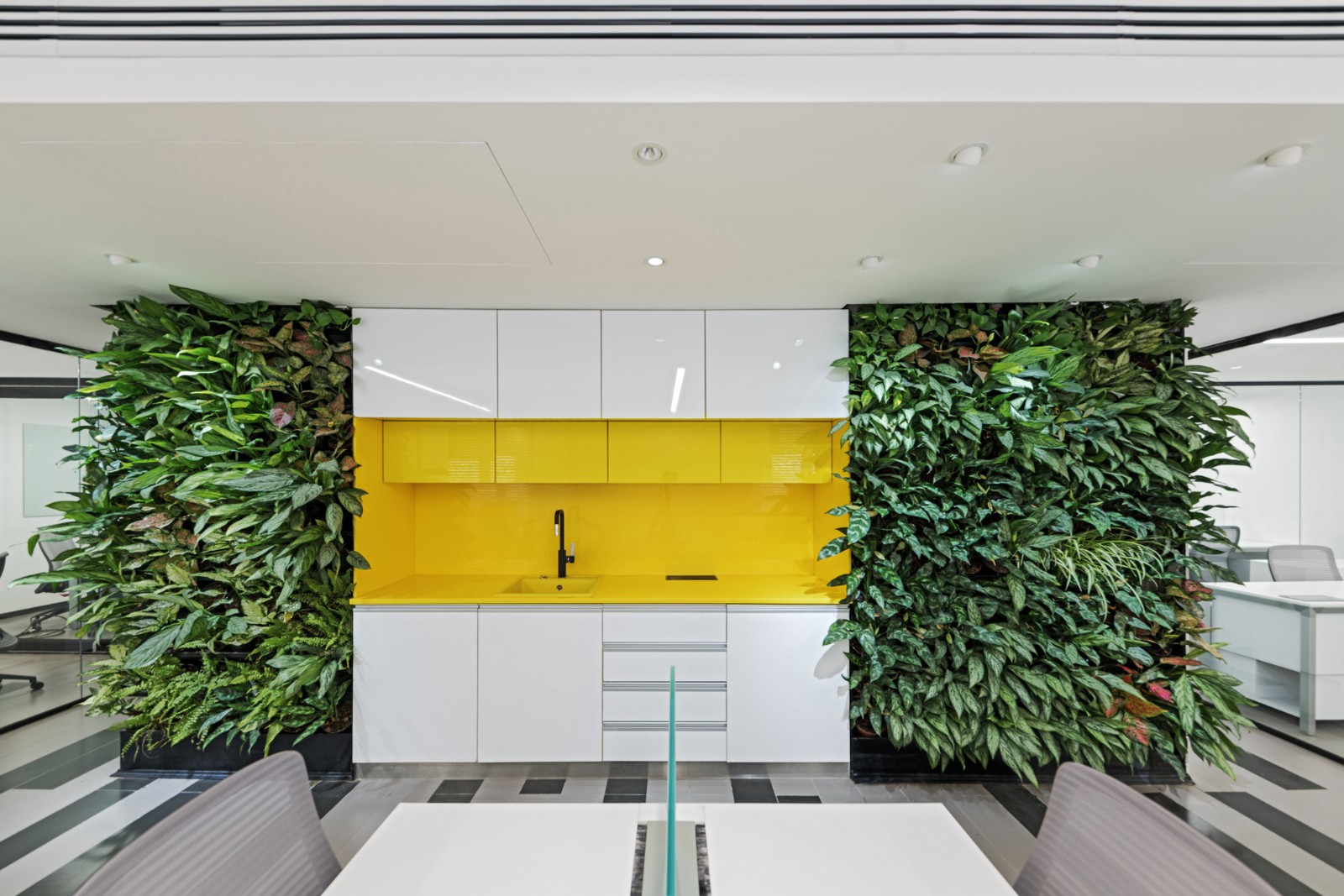 德黑兰 Bazargan Kala 农业公司现代绿植墙办公室-0