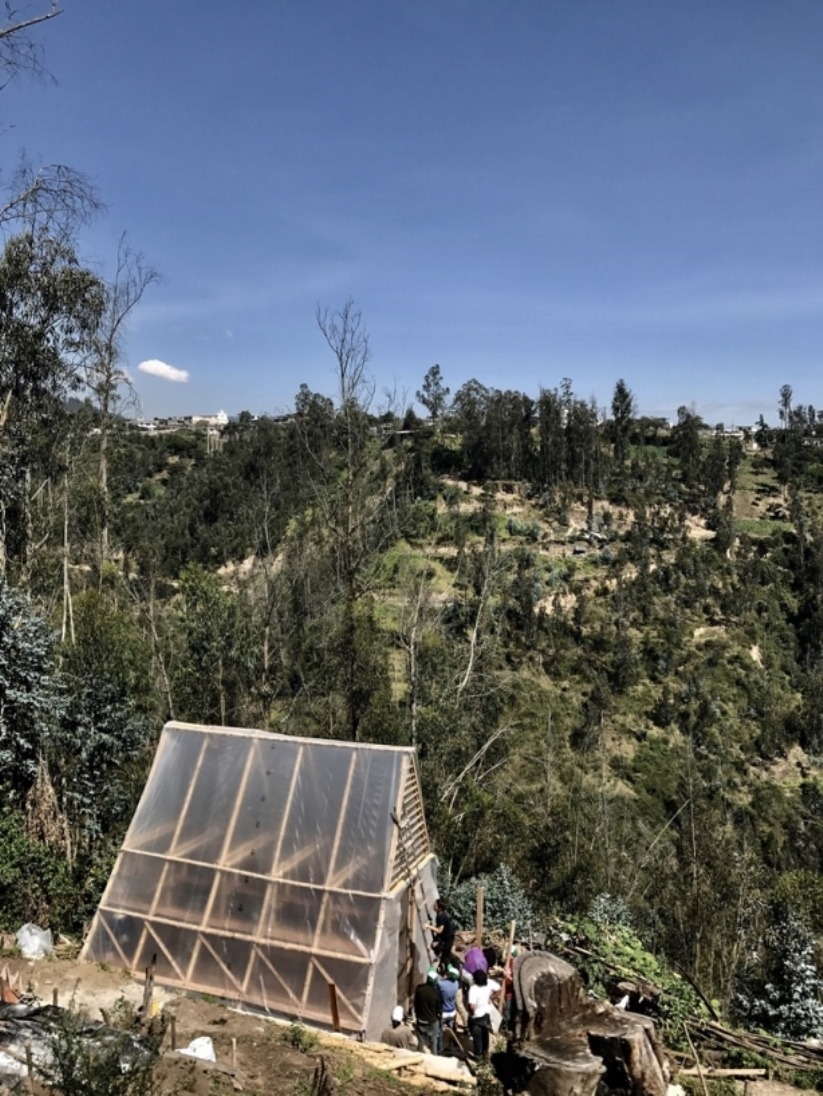 厄瓜多尔蔬菜三角温室 · 赋权社区绿色家园-6