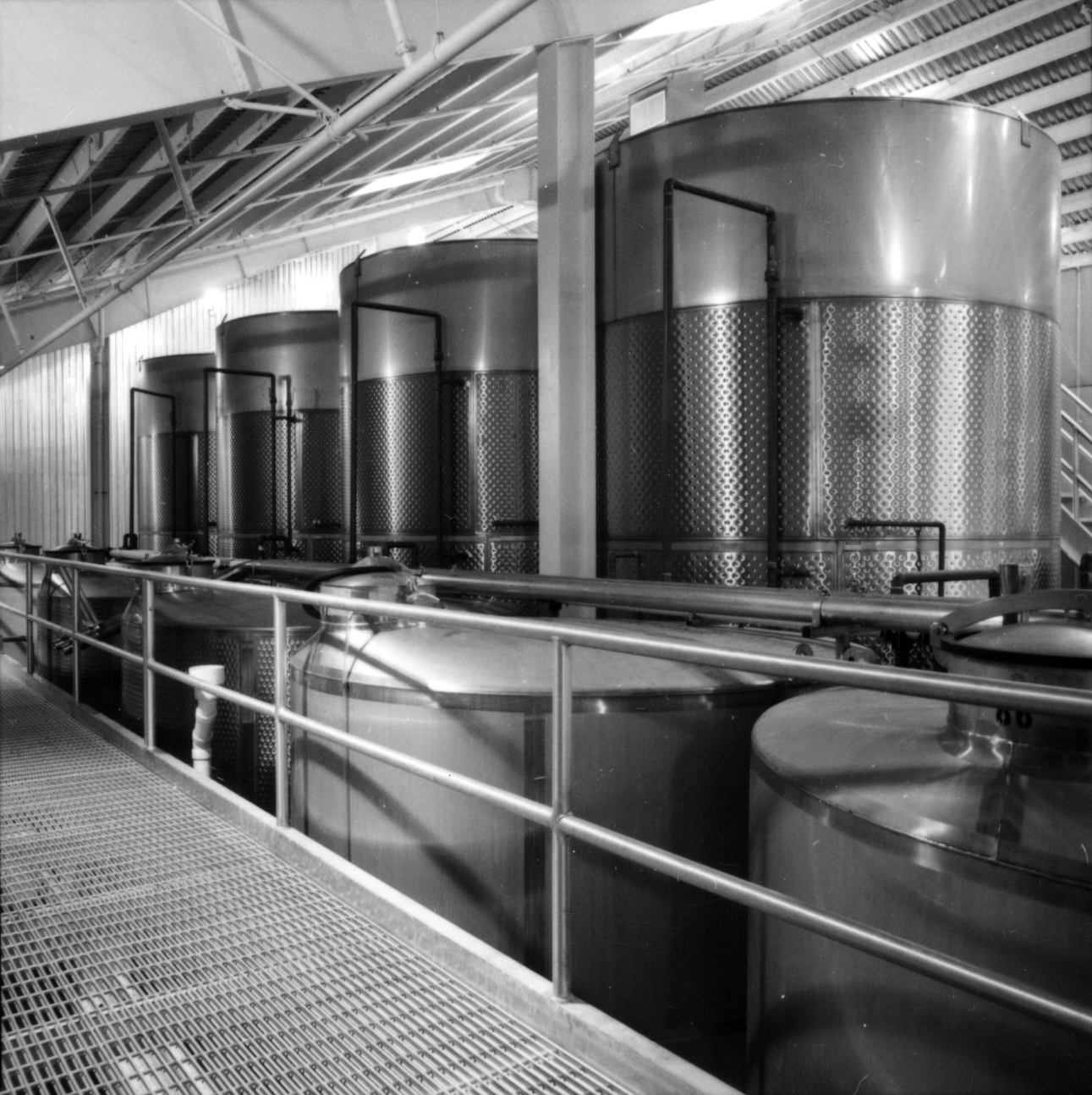 拉文斯伍德酒庄-28