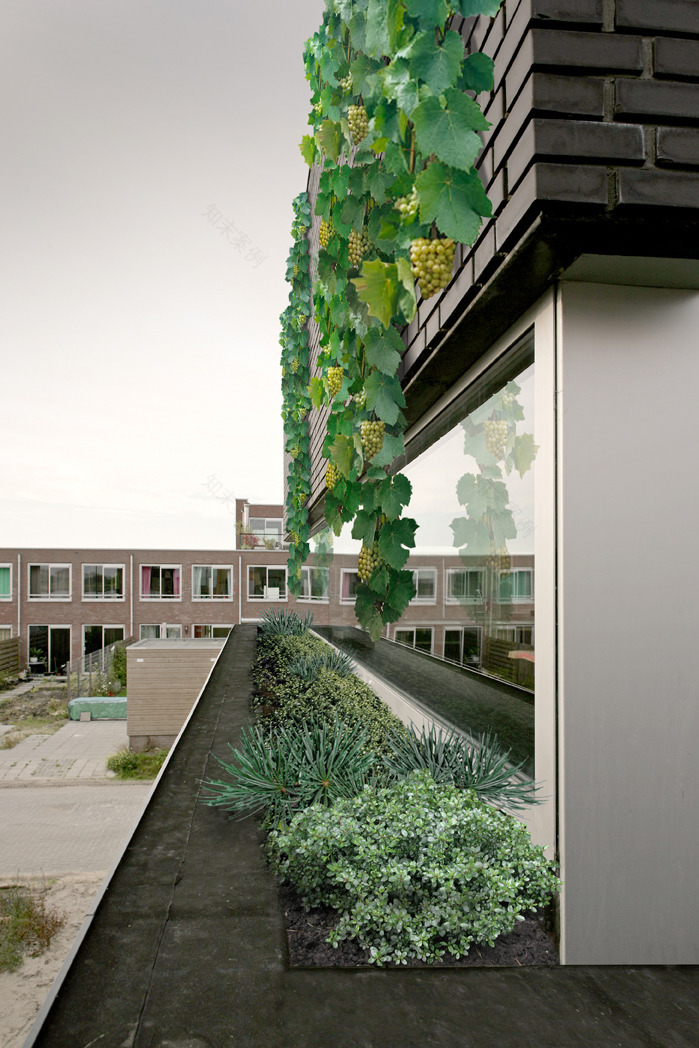 绿意盎然的家 | 垂直花园的室内设计-16