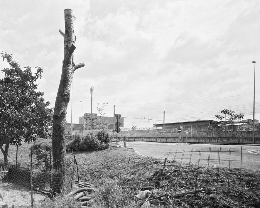 佛罗伦萨新歌剧院 - 城市更新的文化地标-3