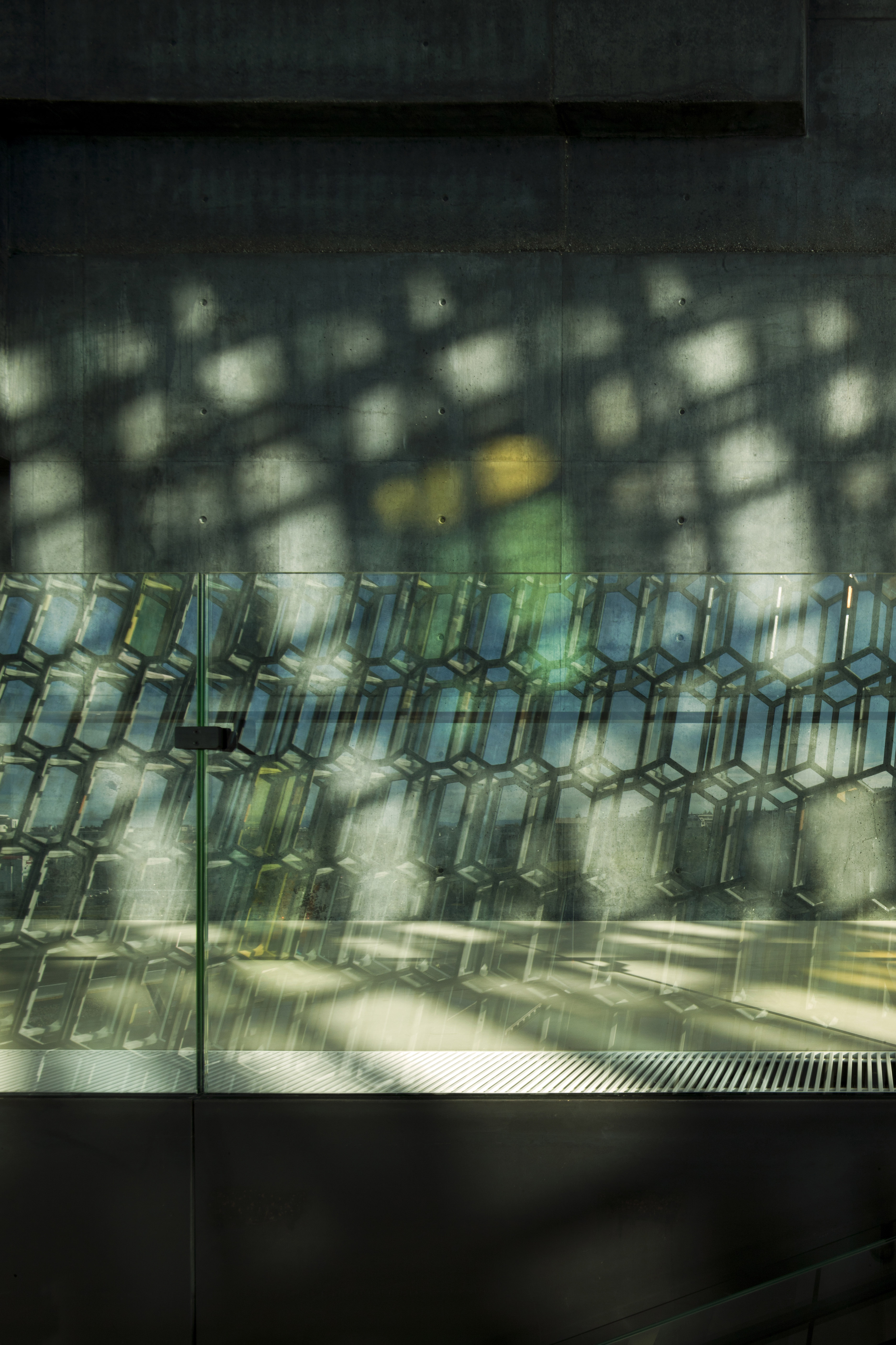 哈帕·雷克雅未克音乐厅和会议中心-6