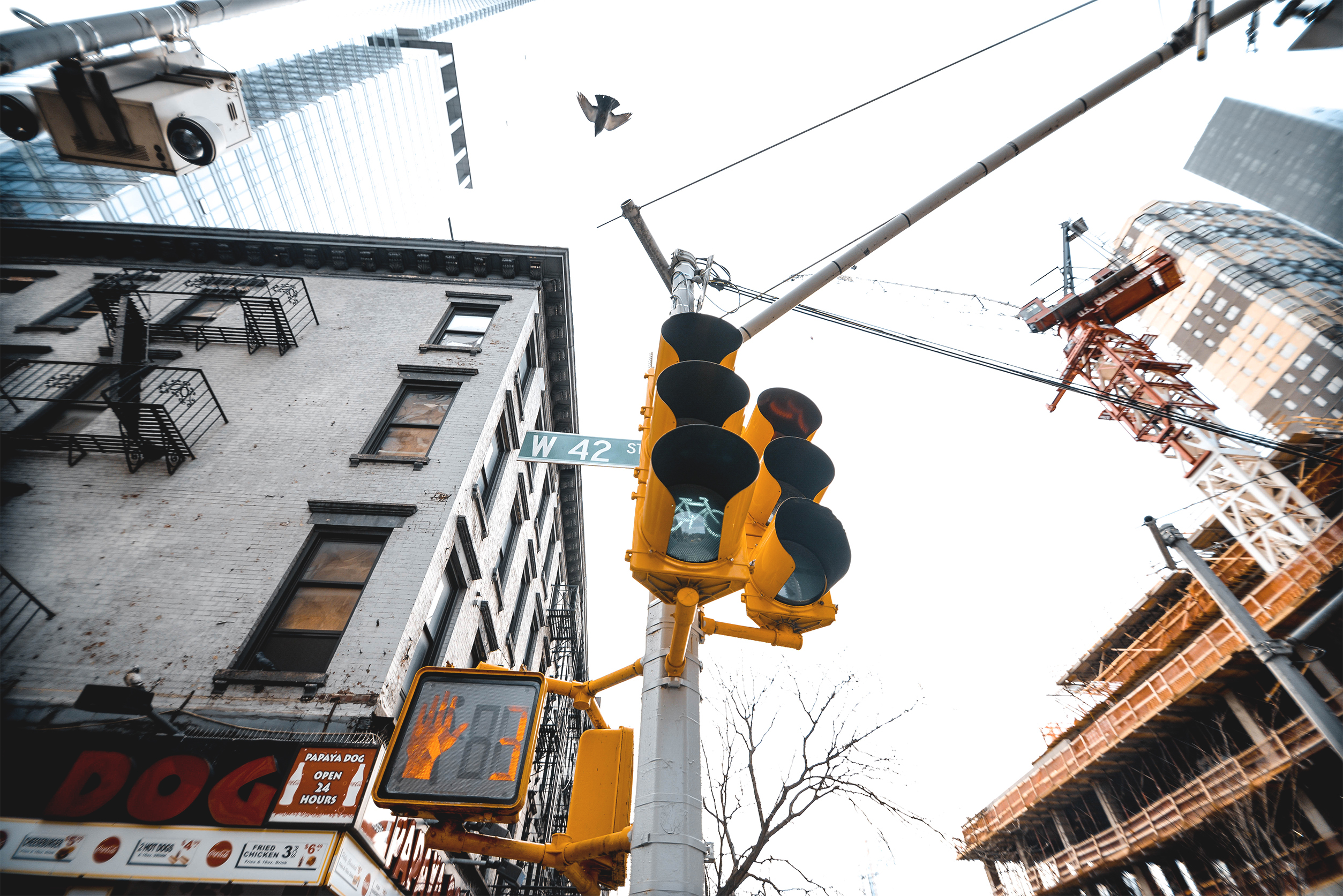 纽约 24 小时 | 中央公园、布鲁克林、中国城、中城、炮台公园-21