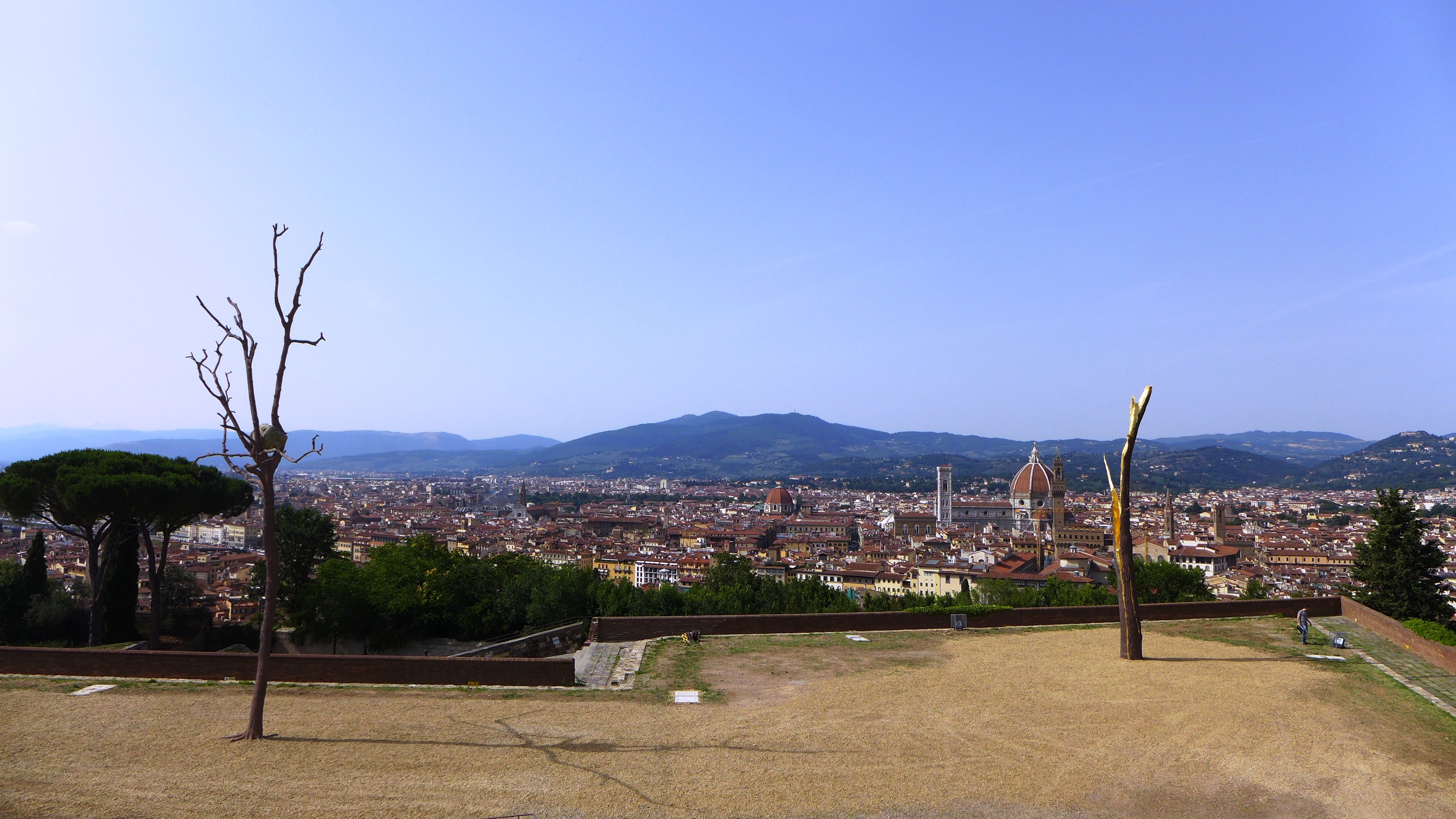 "植"入历史的艺术对话——Giuseppe Penone 个展“Prospettiva Vegetale”-3