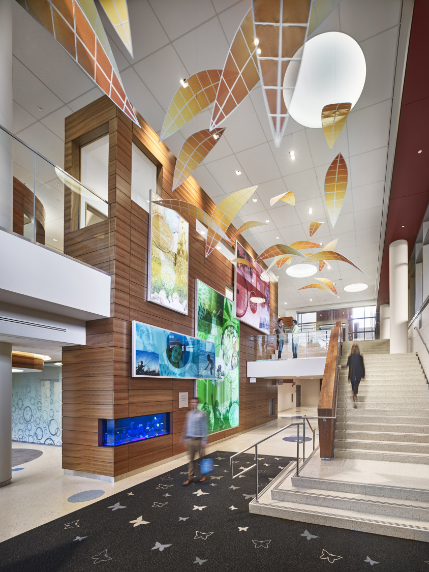 戈利萨诺儿童医院 | 打造儿童友好型医疗空间-12