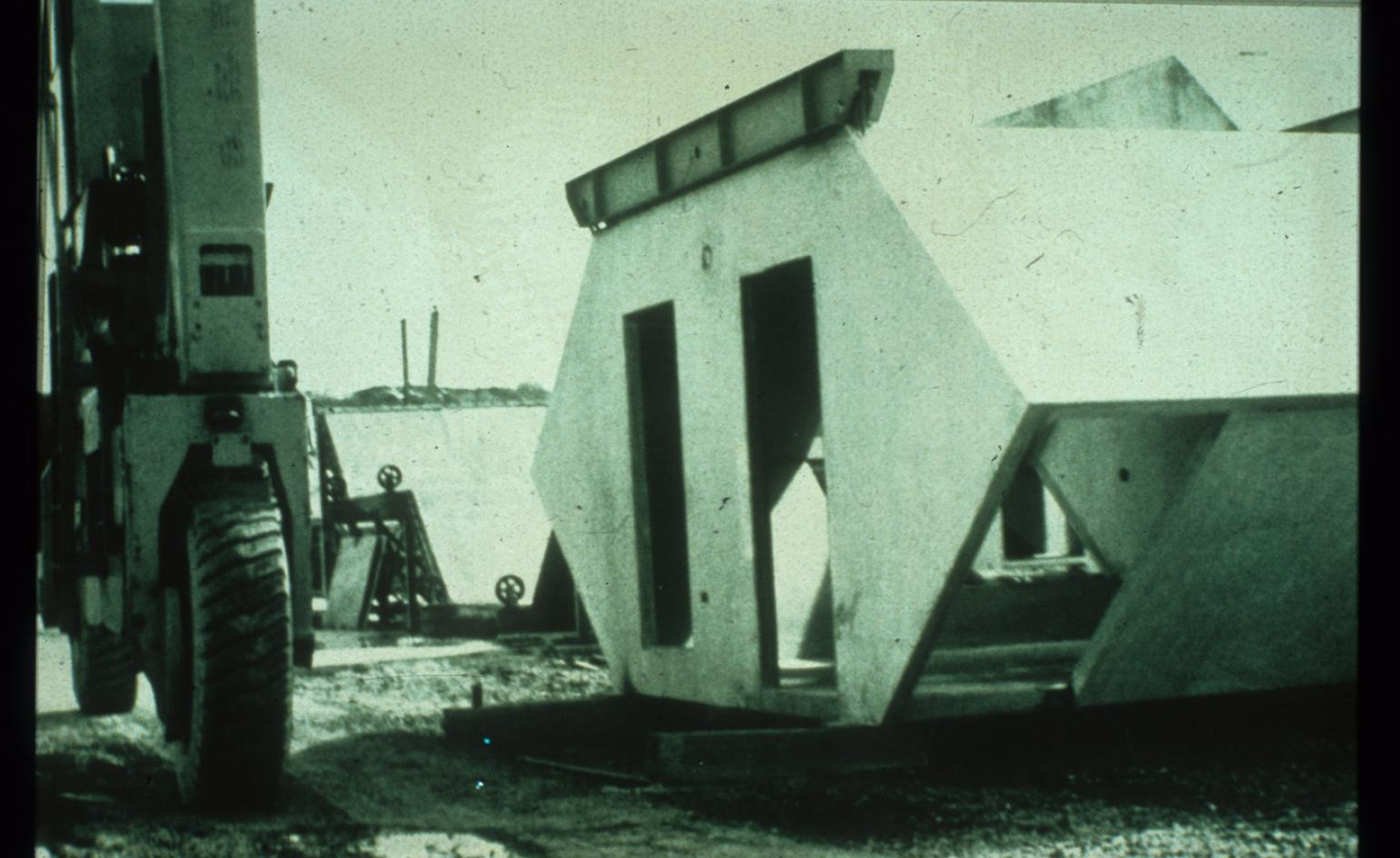 森林中的波多黎各人居-18