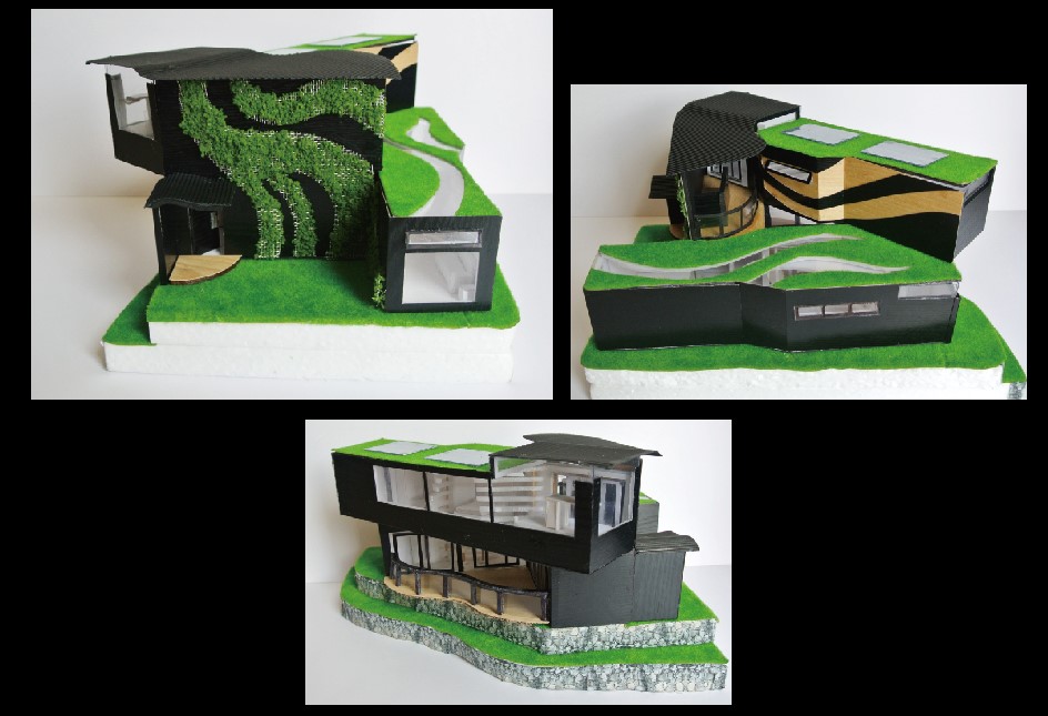 生态容器家园 | 绿色森林中的秘境探索-9