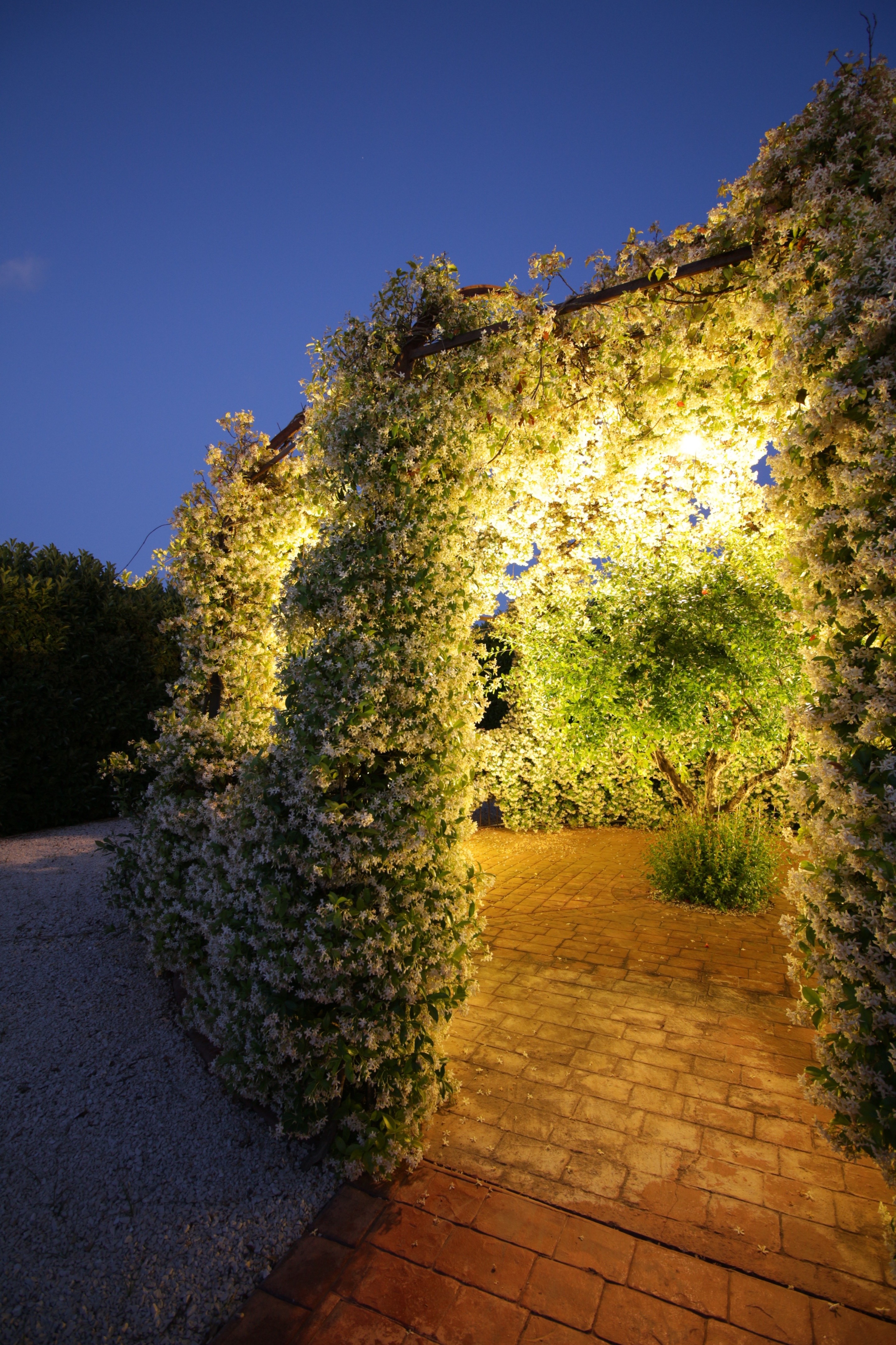 意大利帕尔尼科别墅改造-2