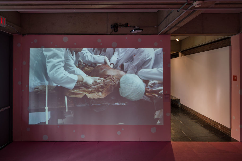 "人类"设计的探索 | 2018 年普林斯顿大学建筑学院展览-9