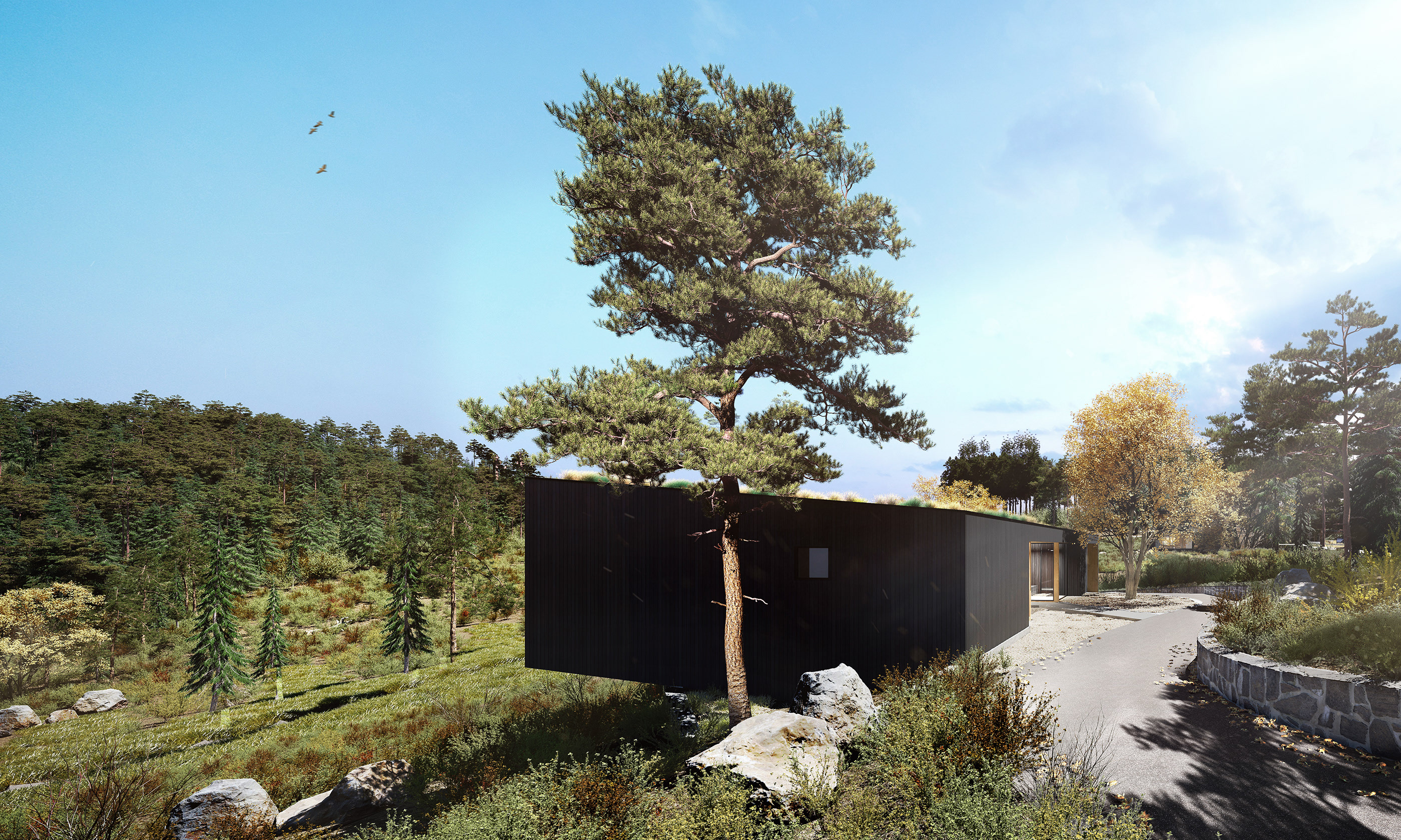 Powder Mountain house visualization. Cinema 4D + Corona-9