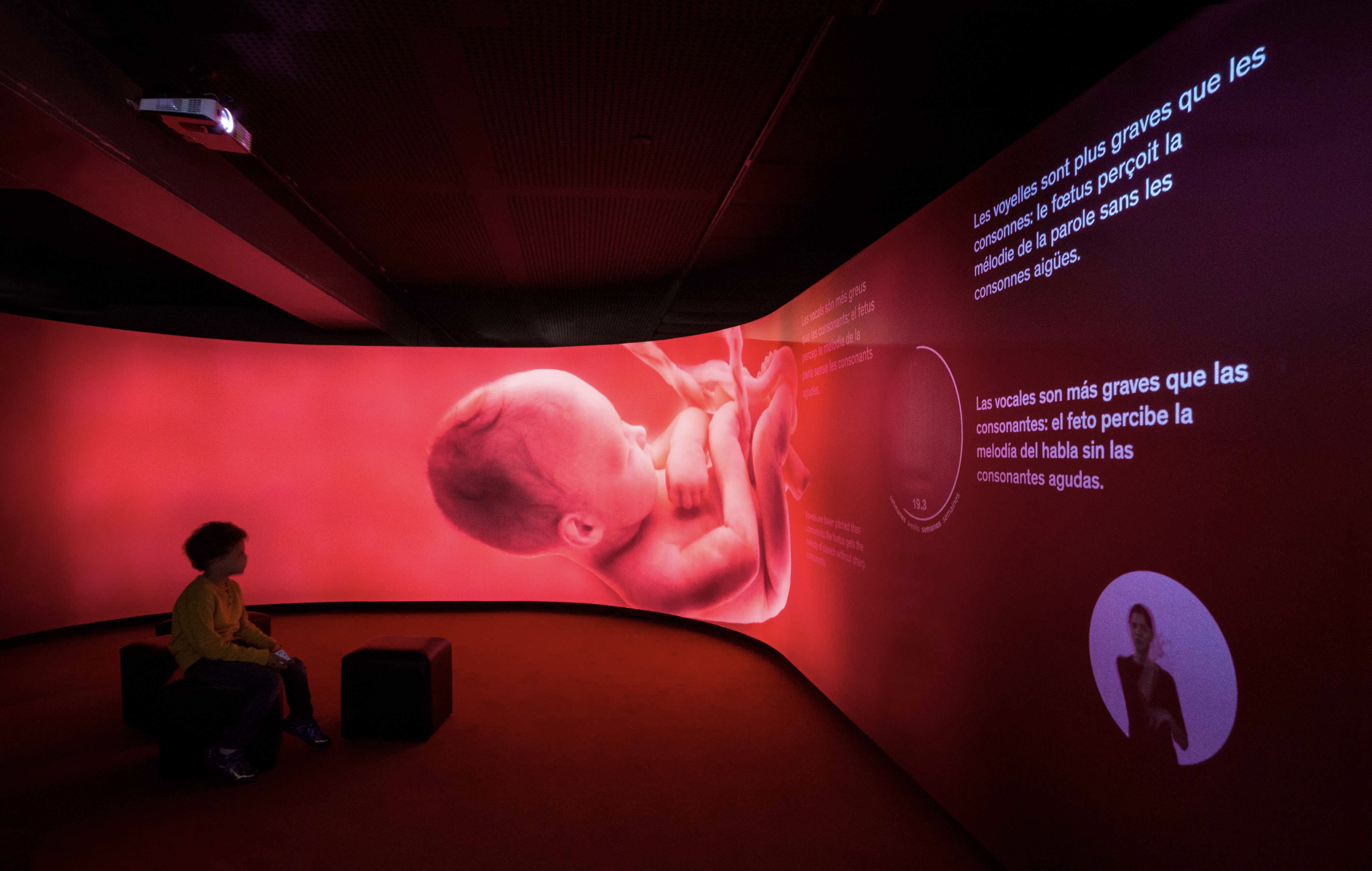 Talking Brains 展览设计-50