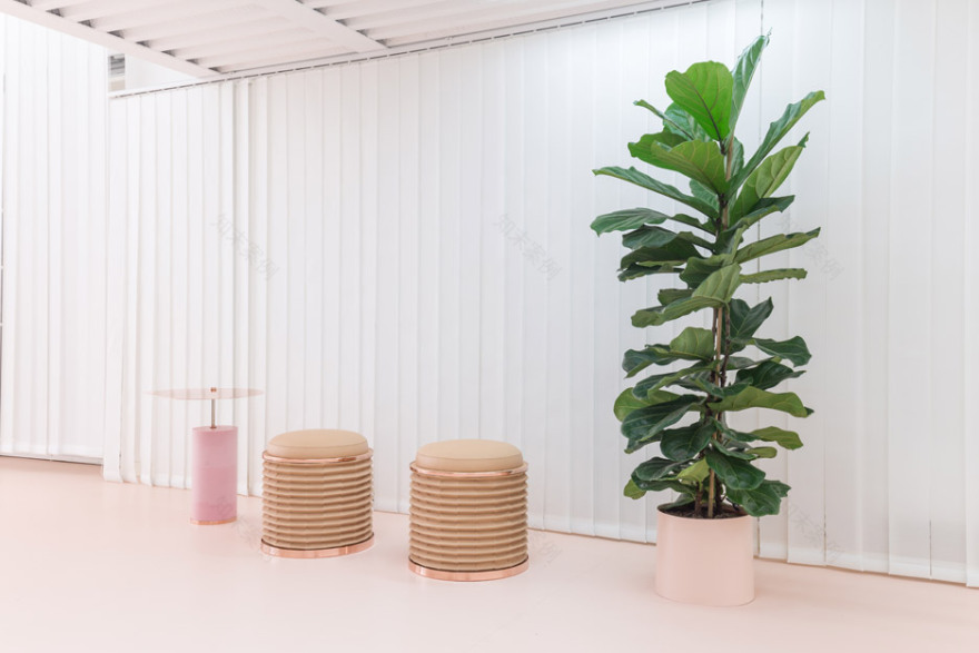 《无性别诊所》 | 梦幻粉色空间中的身体疗愈-13