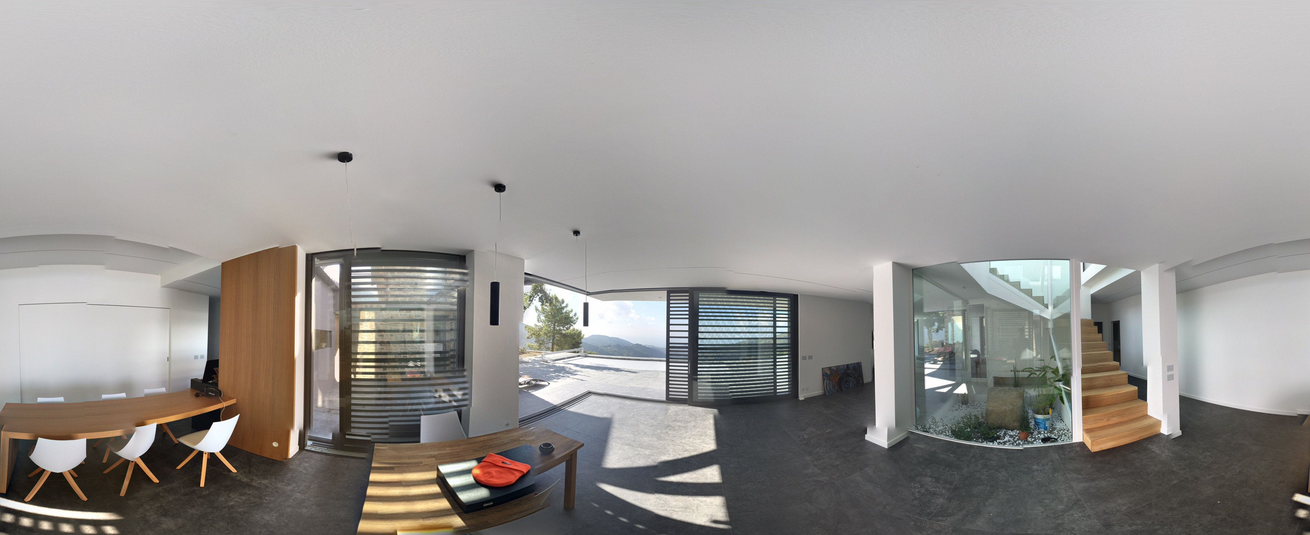 2016 年完成的黑色独栋住宅设计-2