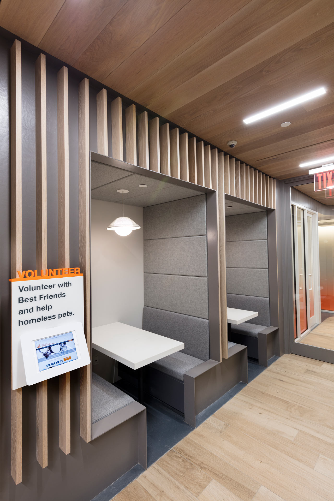 爱心港湾 | 最佳朋友动物协会新收养中心-17