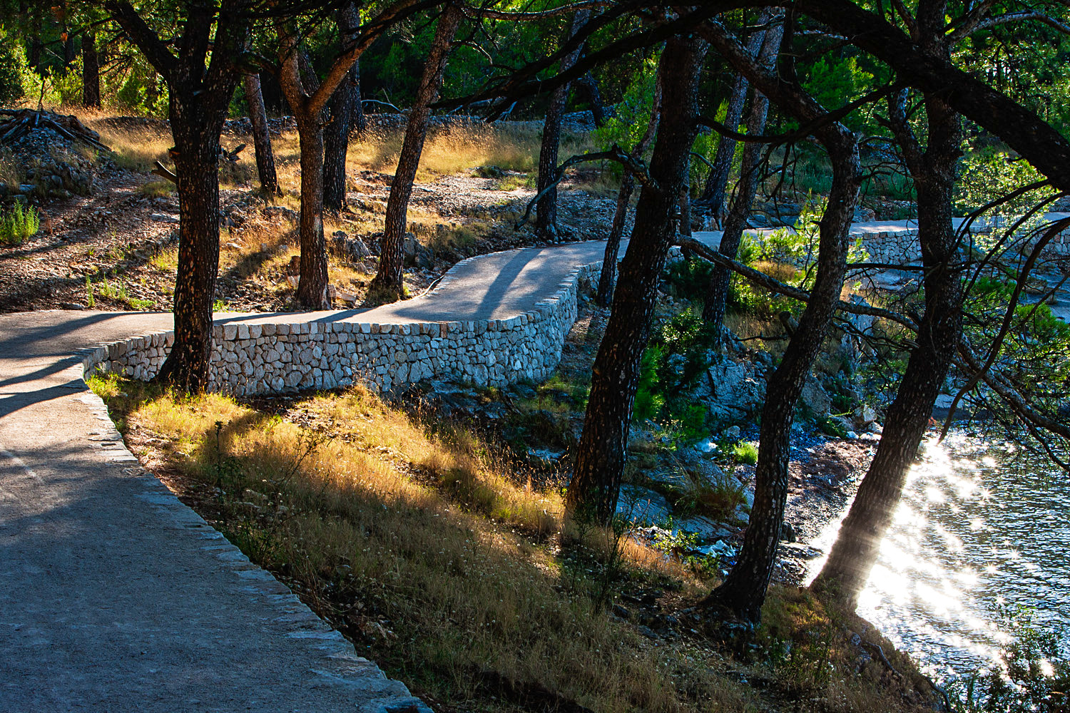 圣安东尼运河 | 生态景观的绿色创新-2