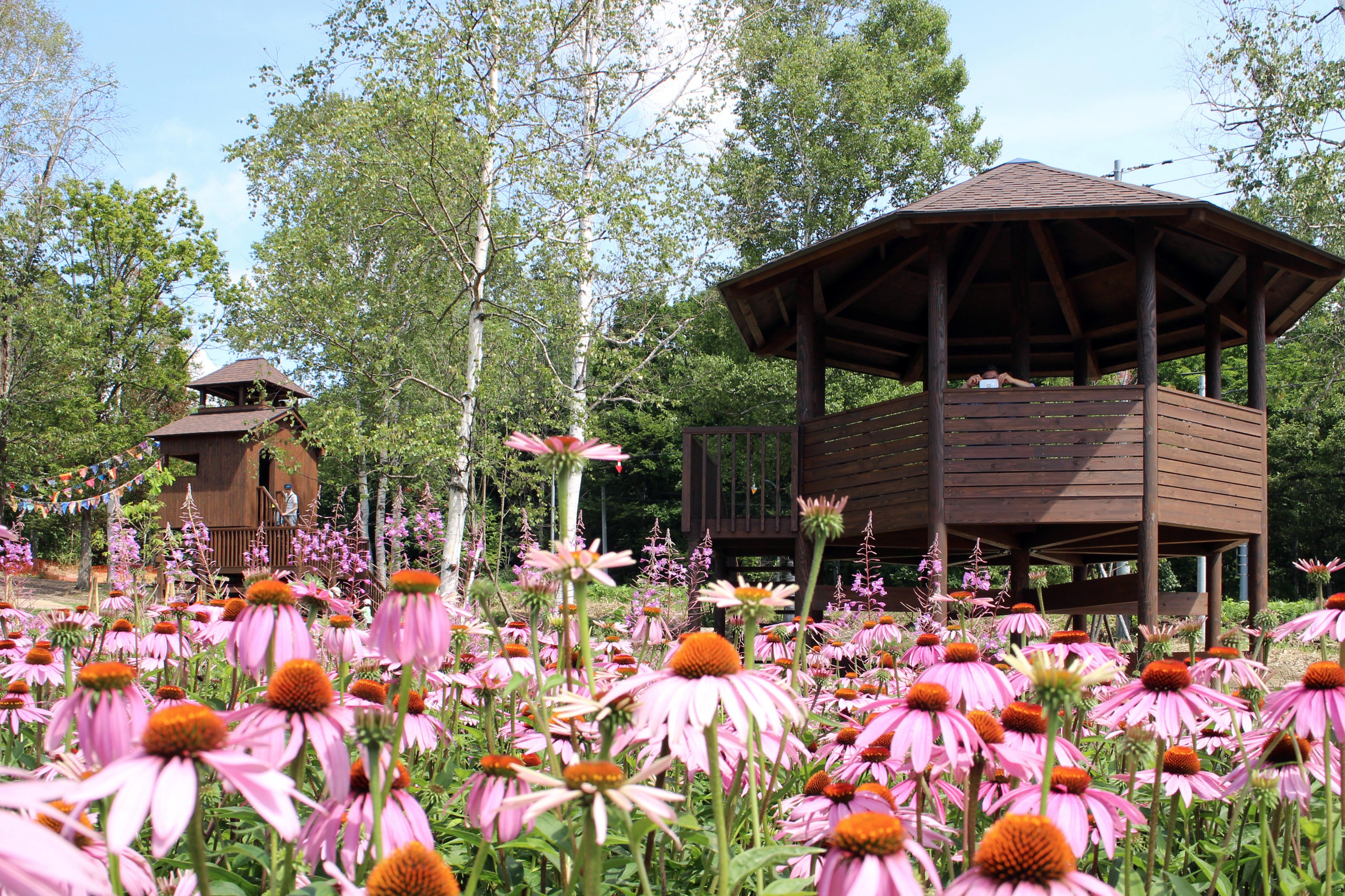 2015 年完成的库鲁米娜公共花园-34