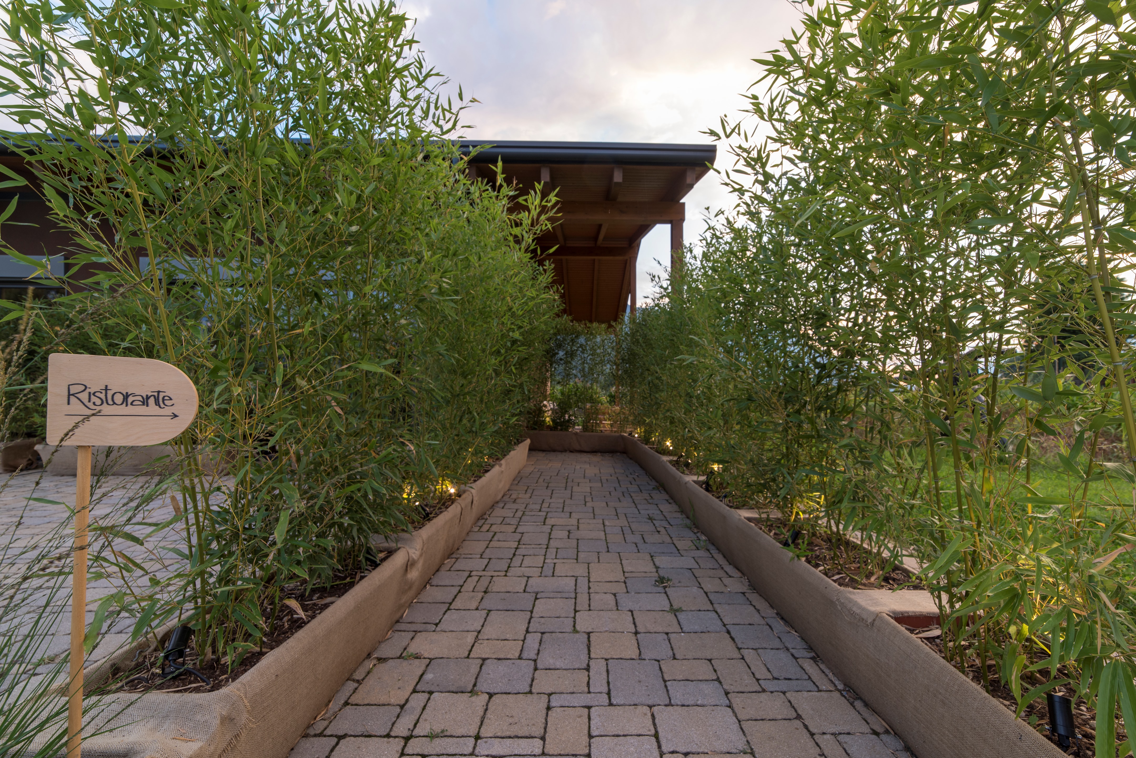 自然之境 | TERRA DEL SOLE 概念餐厅设计-3