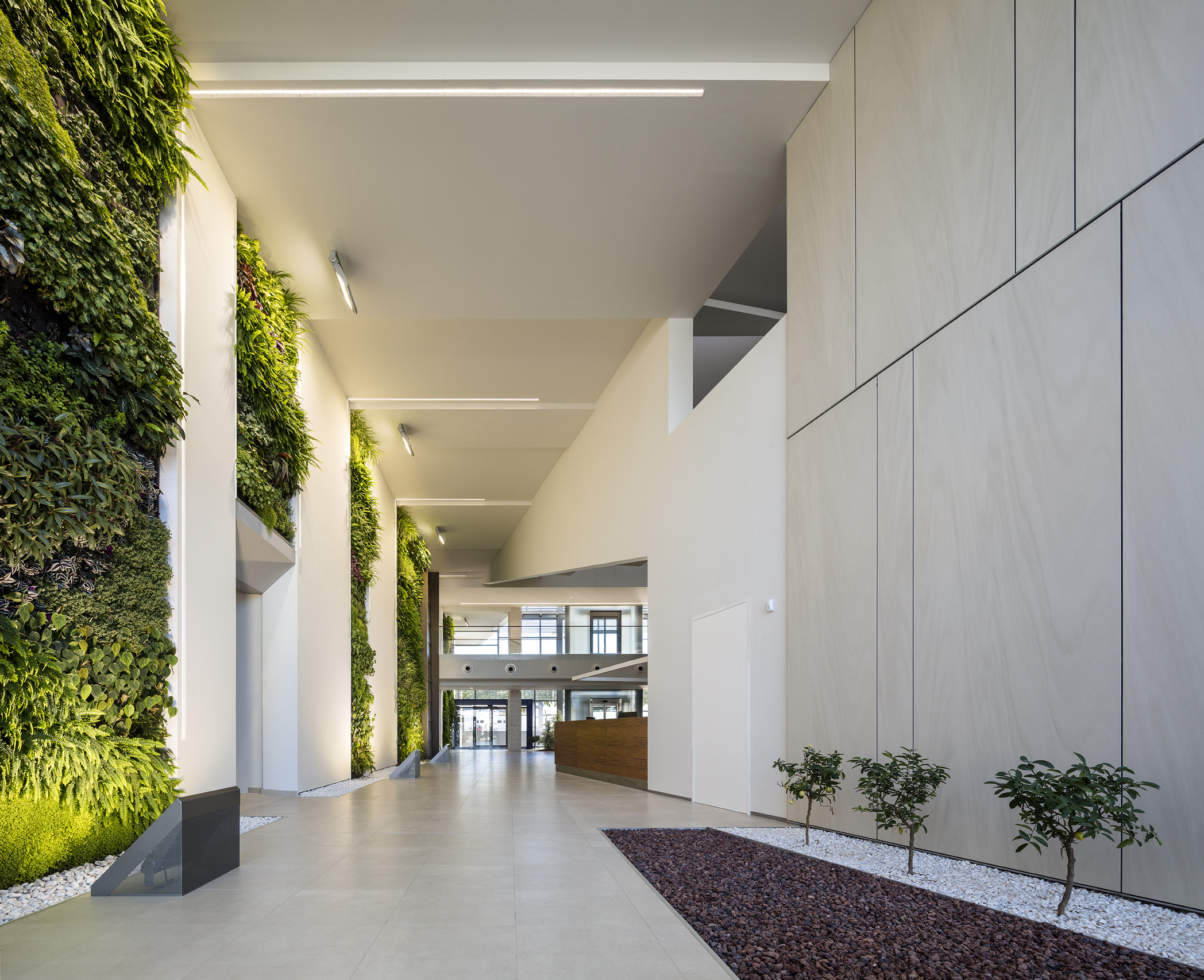 生态环保的"Sanlucar Fruit"办公室设计-3