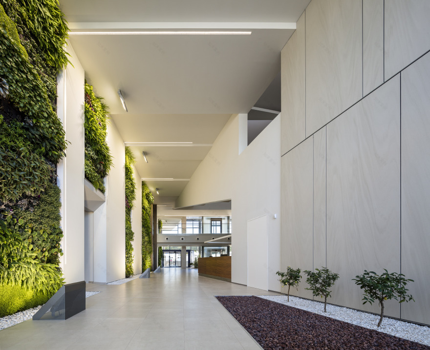 生态环保的"Sanlucar Fruit"办公室设计-3