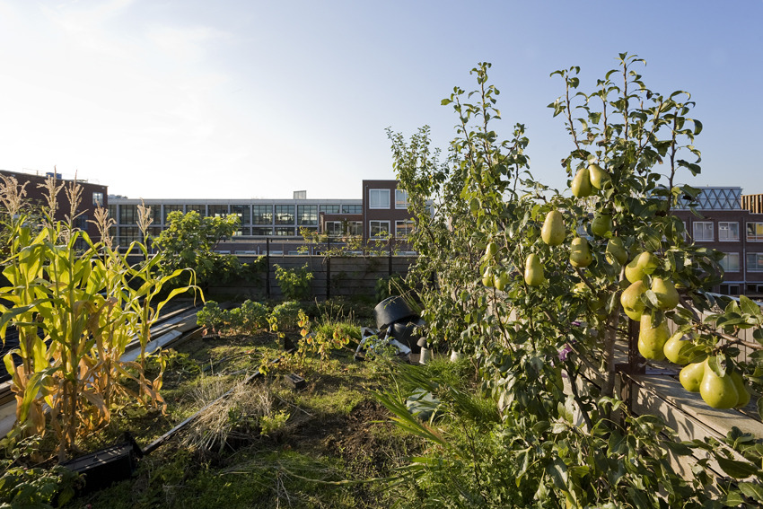 绿意盎然的家 | 垂直花园的室内设计-2