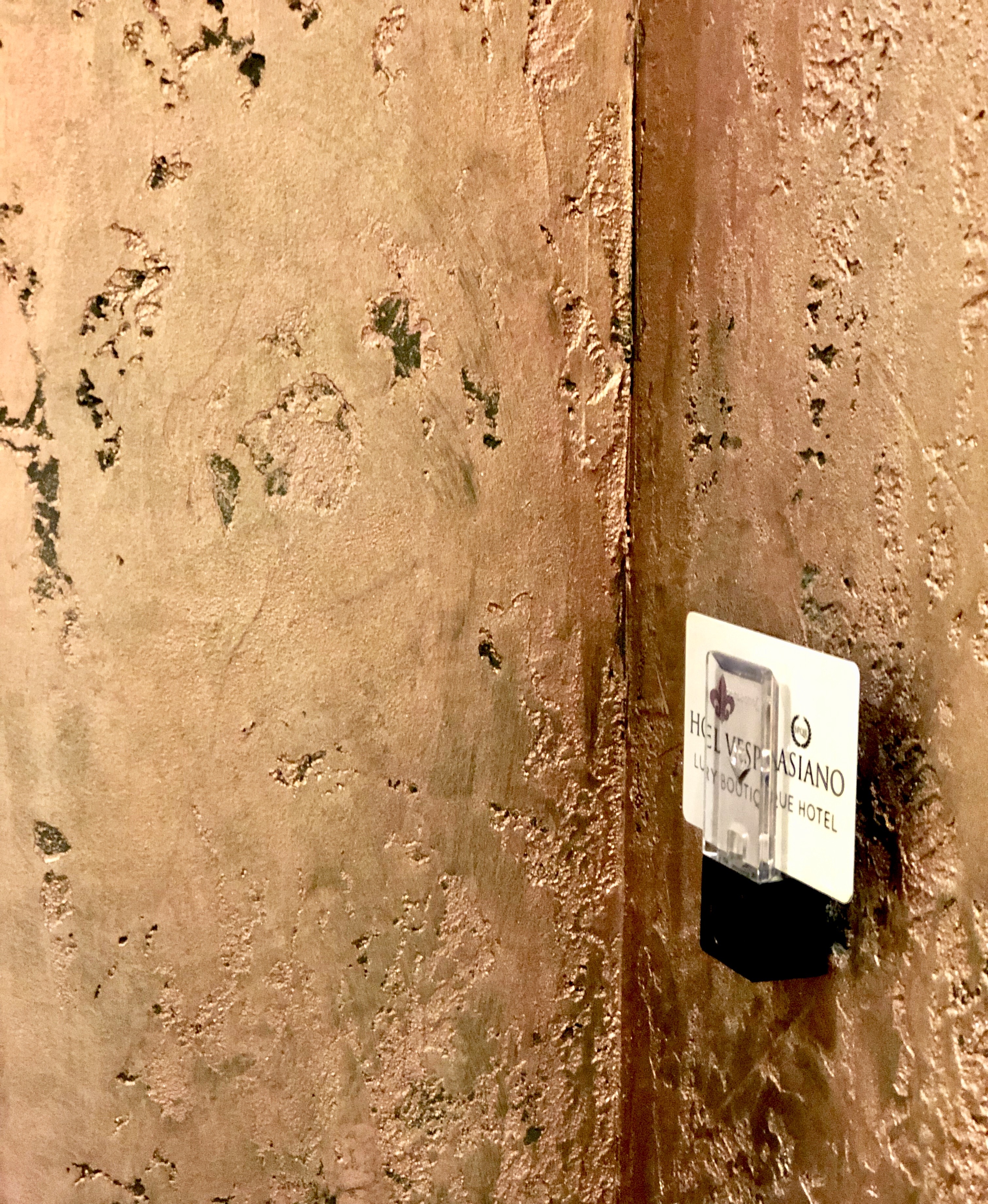 维斯帕西安诺-10