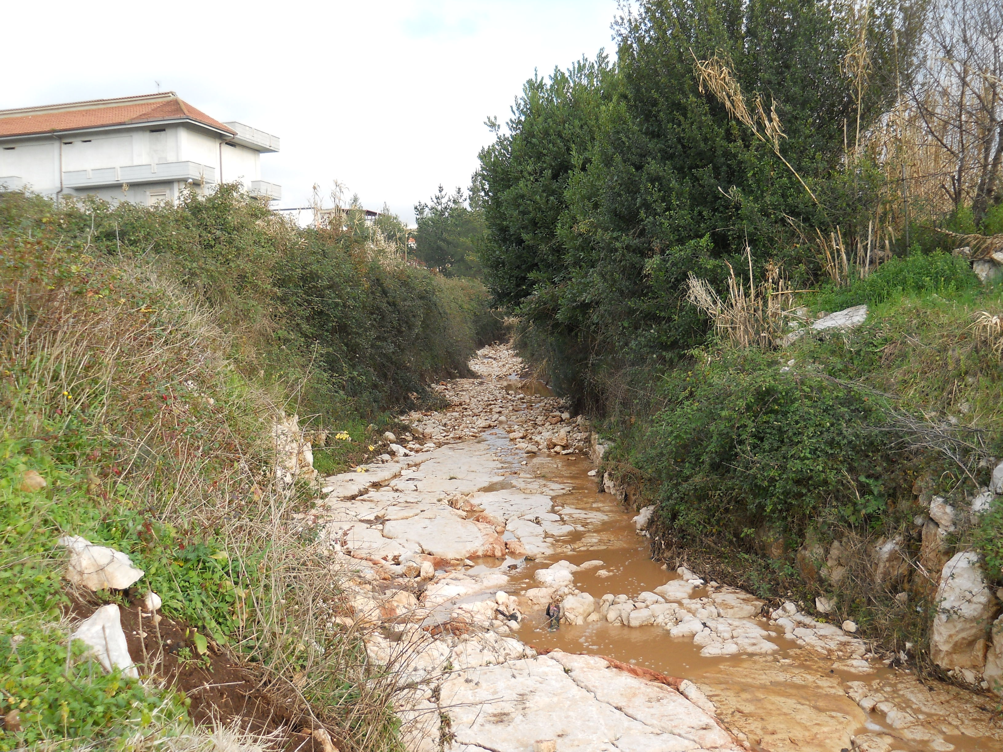 城市空间重塑 | 以河流恢复为契机的公园规划-6