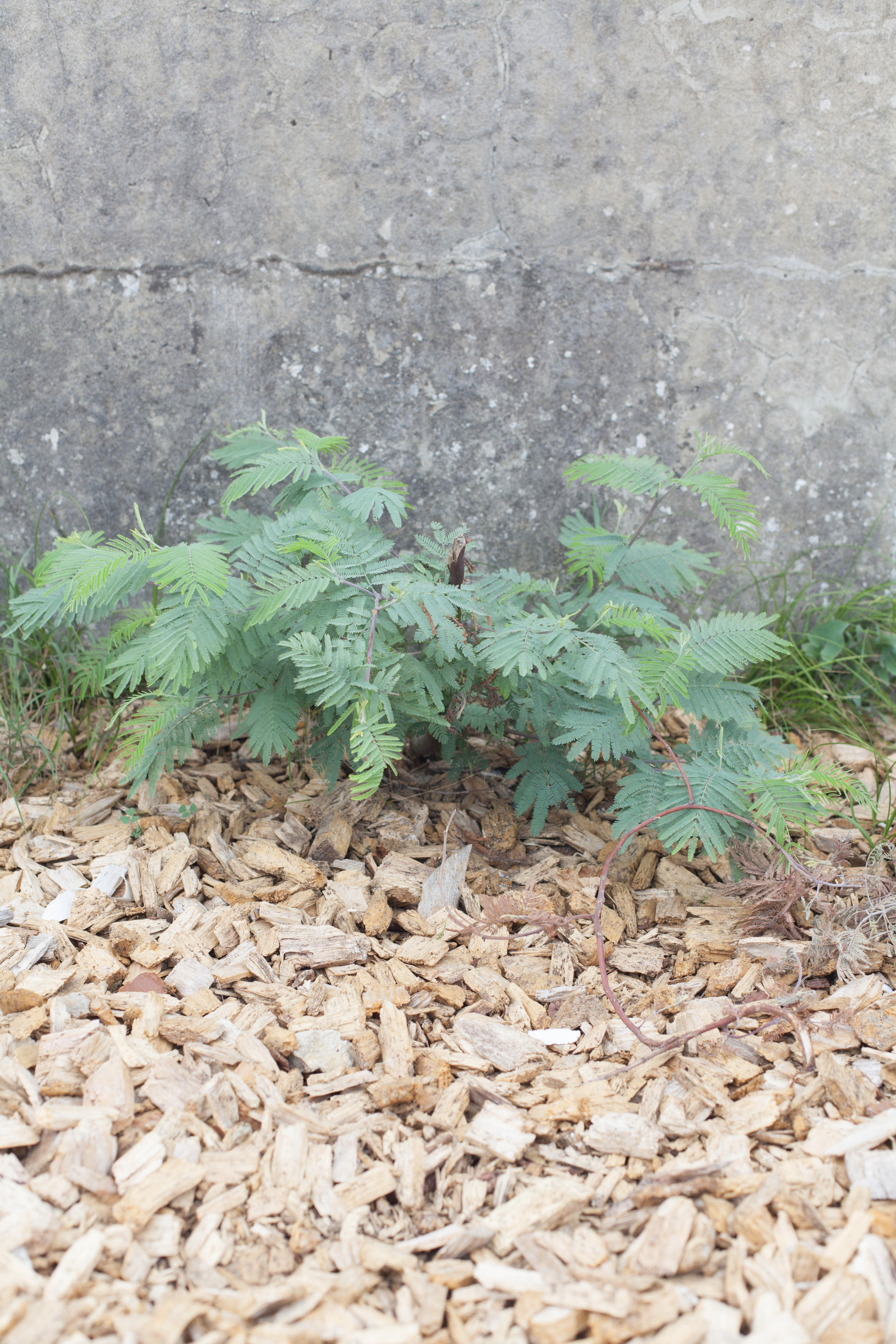 海洋主题休闲餐厅设计-12