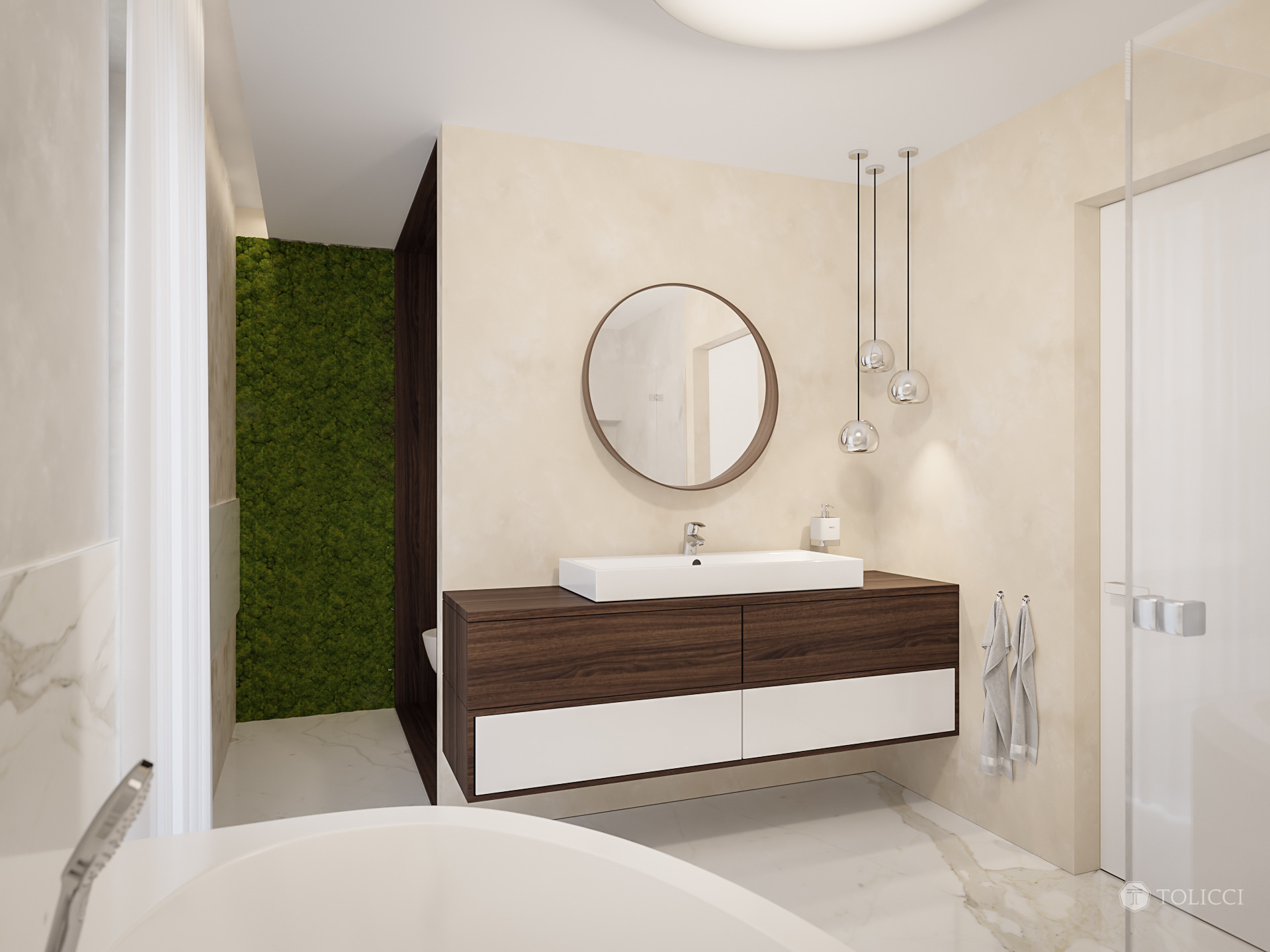 2017 年未实现的巴č家庭住宅设计-25