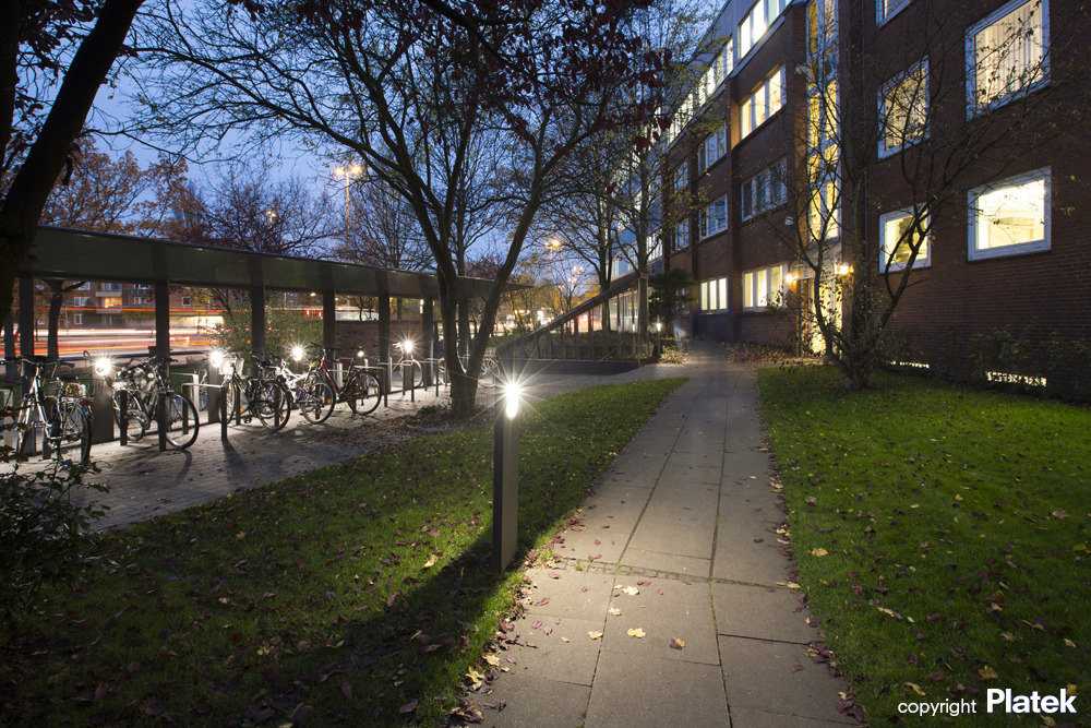 汉堡 Plan International 办公空间——公共花园式办公新体验-9