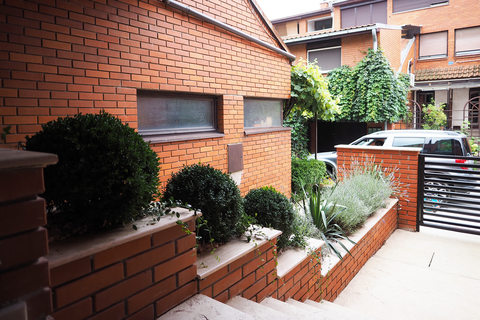 城市中的世外桃源-3