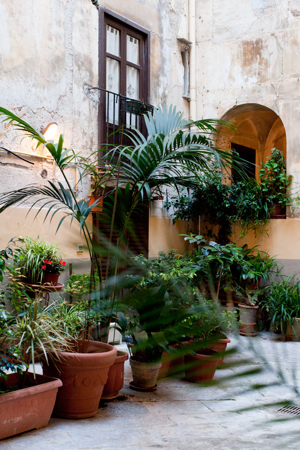 卡萨 2 帕尔梅-18