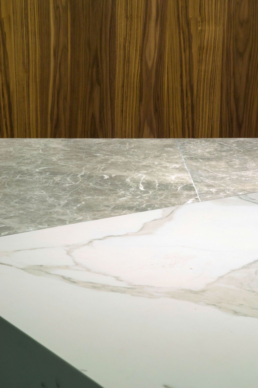 帕多瓦的壁画-19