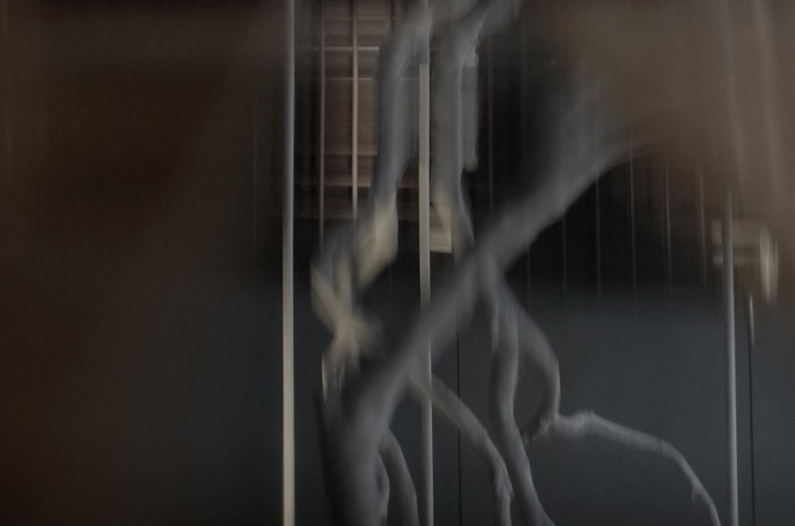 野林意象 · 佛山吾同空间-1