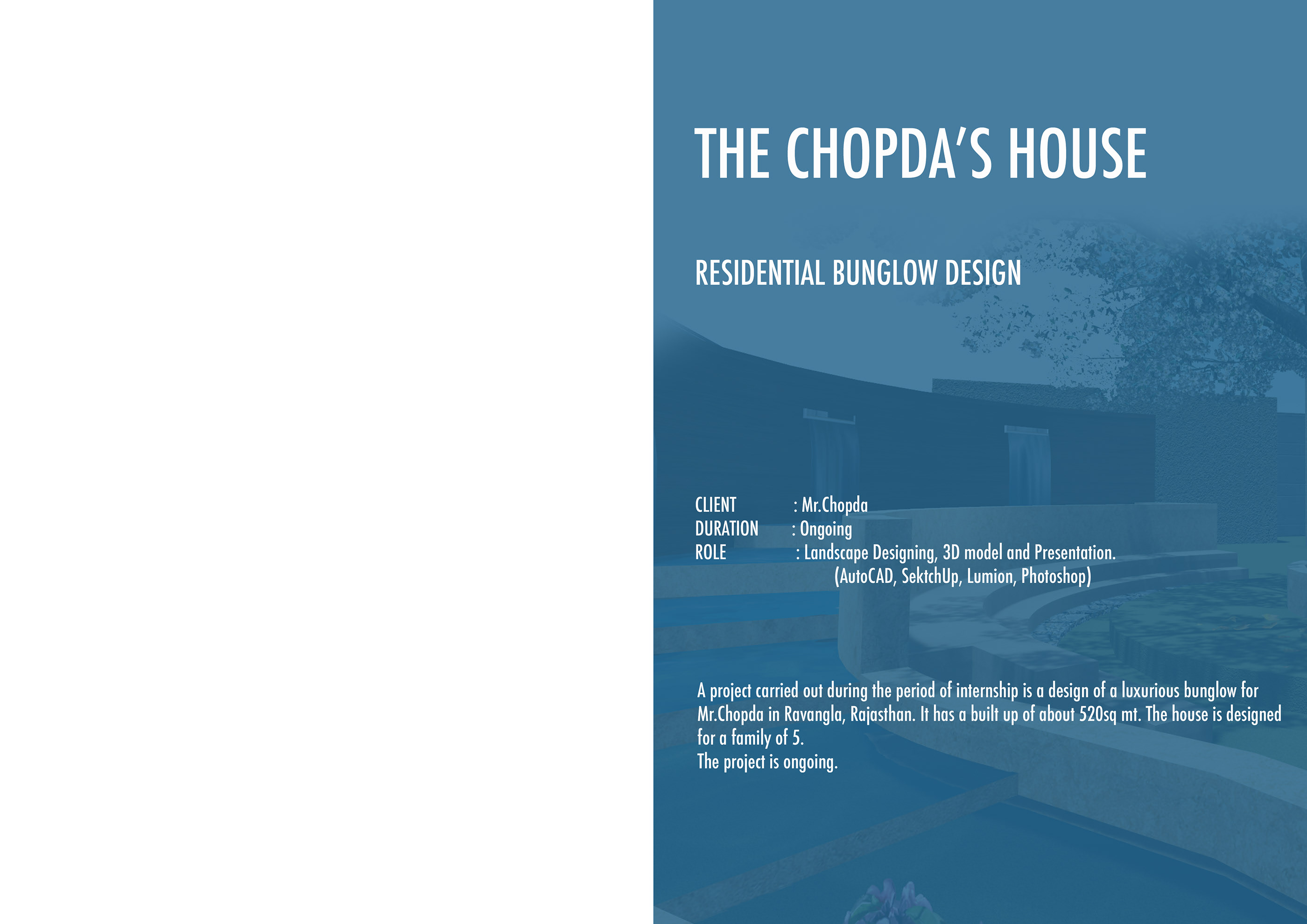 Radha Ranaware 设计精选 | 2010-2015 项目亮点-13