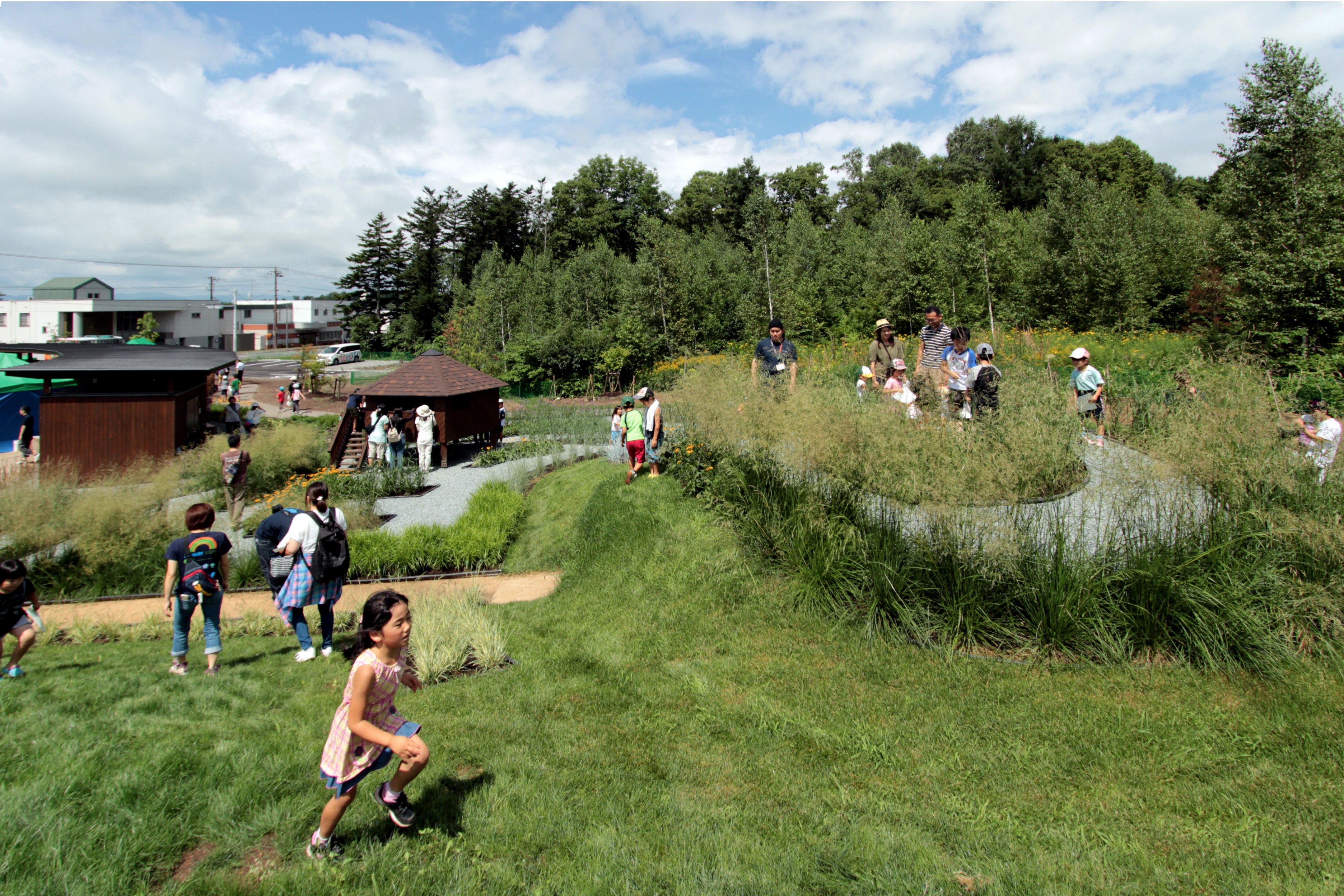 2015 年完成的库鲁米娜公共花园-9