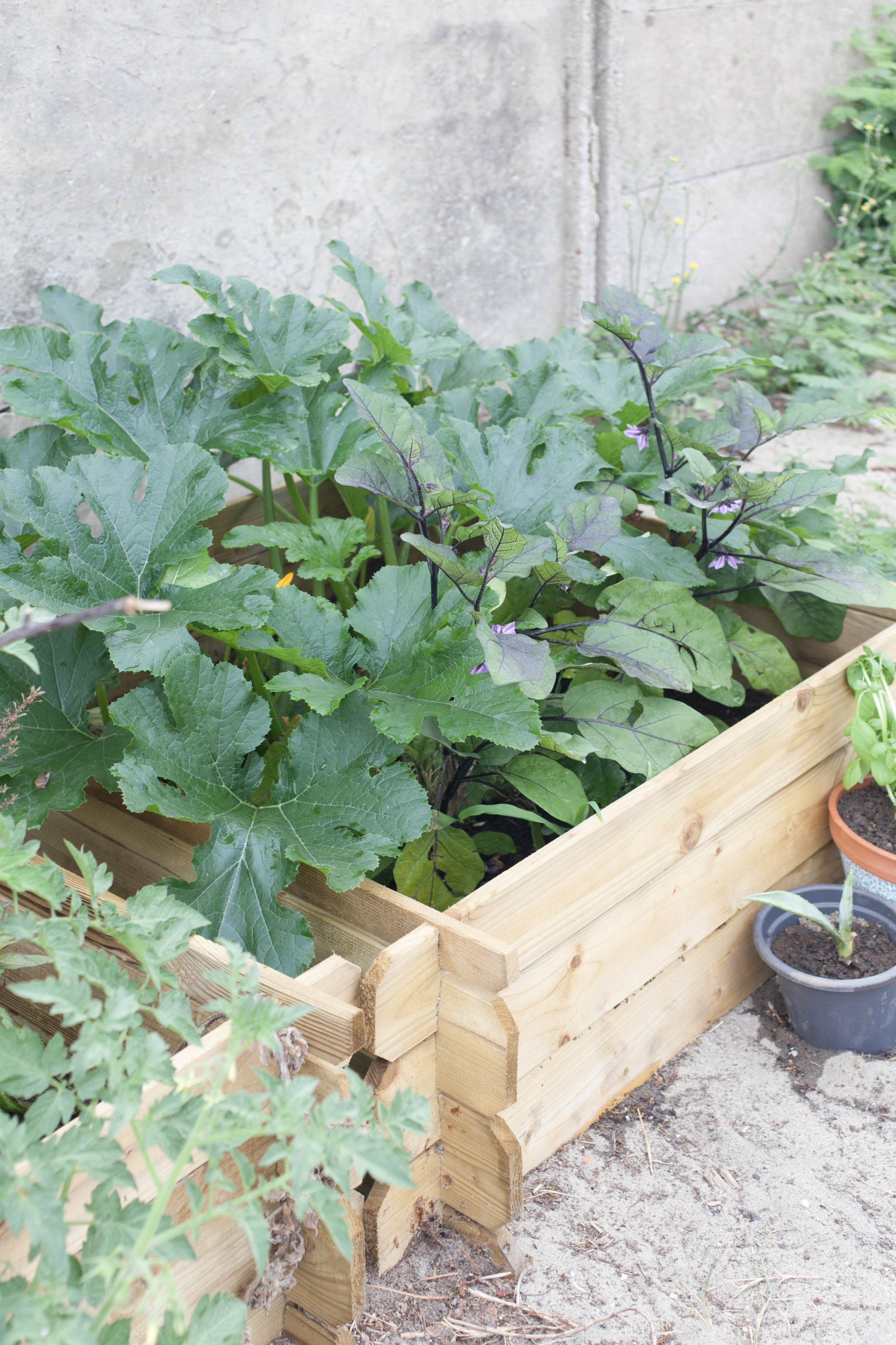 海洋主题休闲餐厅设计-11