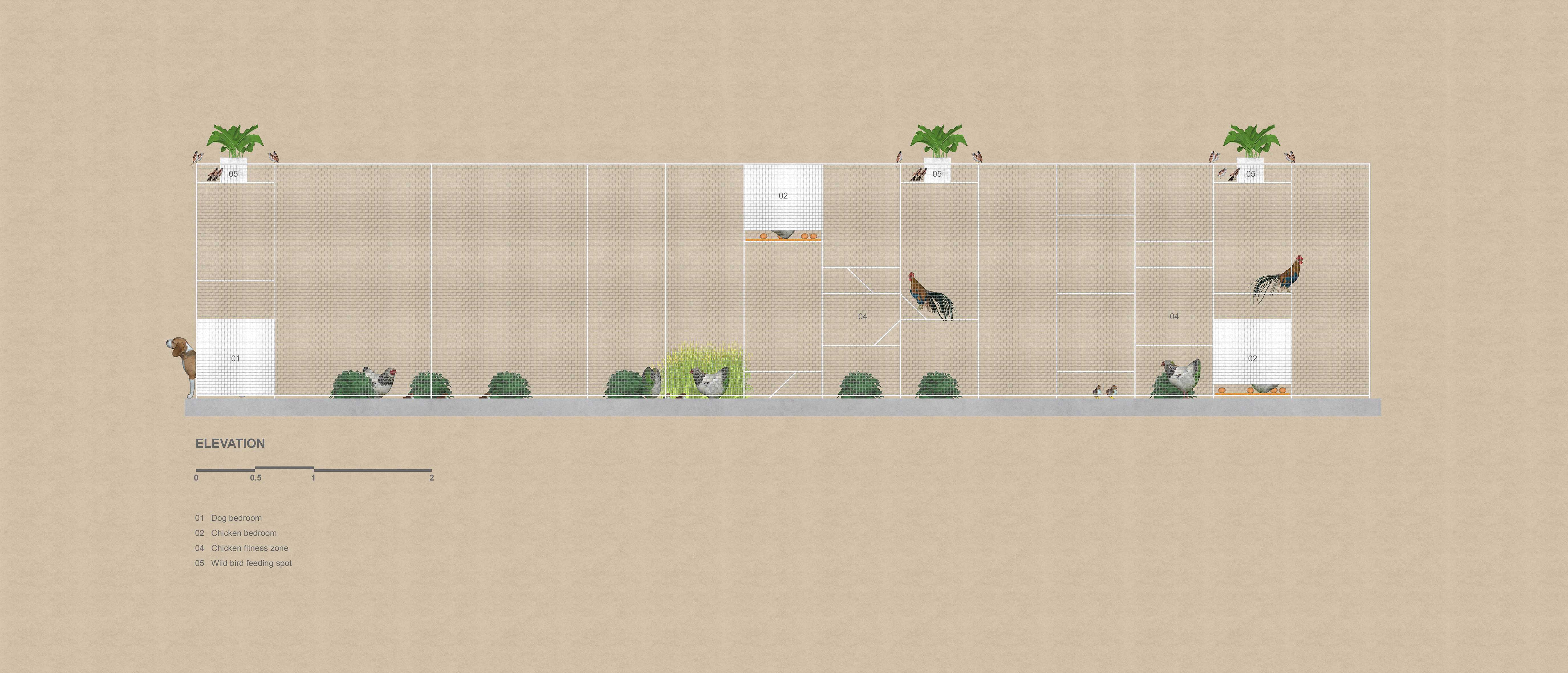 鸡舍建筑,儿童乐趣与自然的融合-24