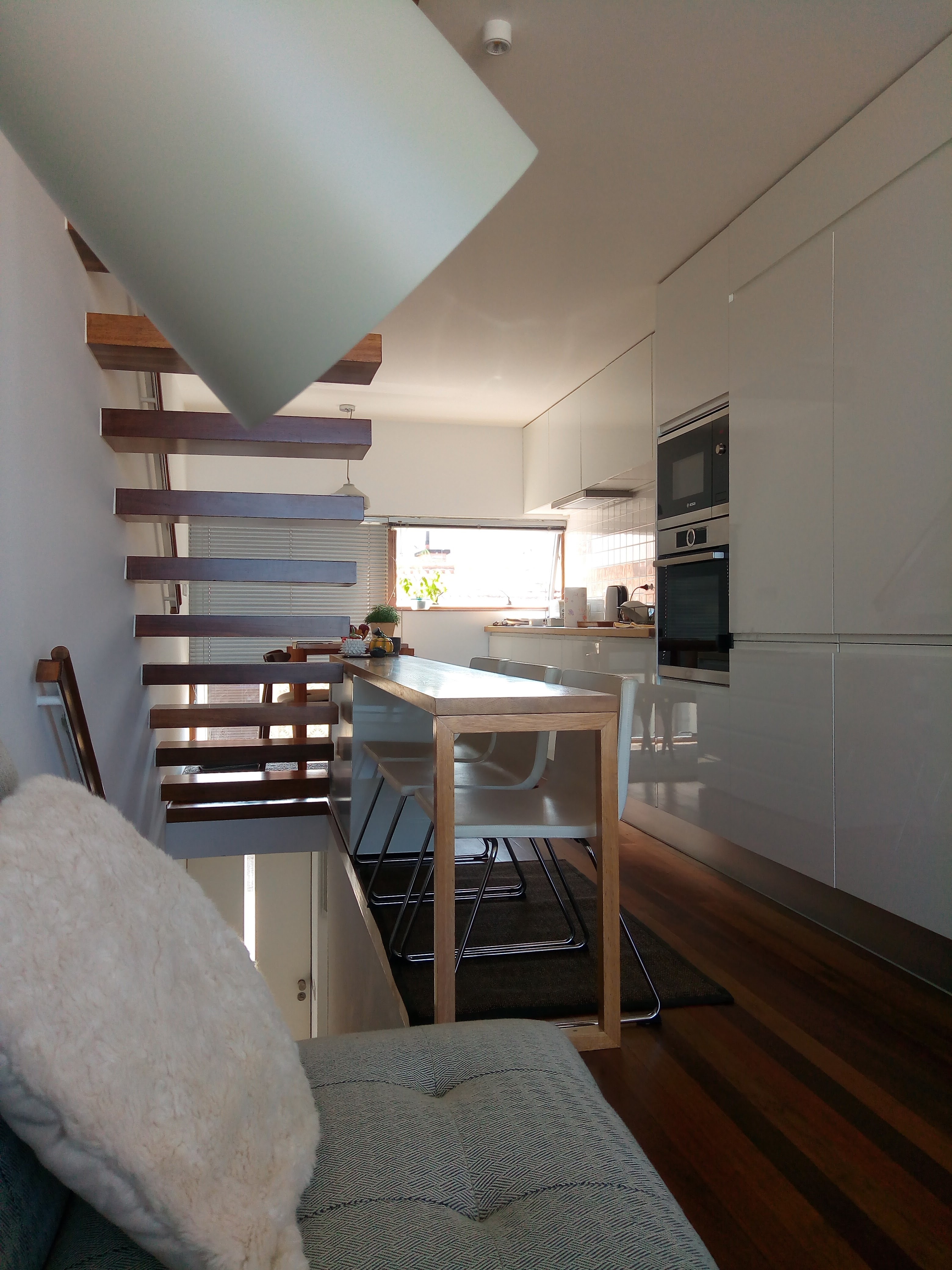 《海洋之窗》-5