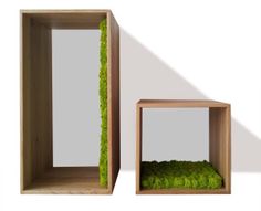 绿意盎然 | 2015 年临时室内设计案例-2